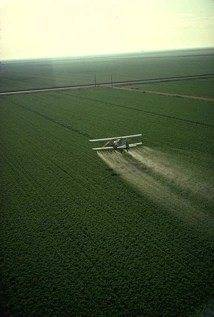 Pesticide Immunity: The Same Bad Idea is Back
