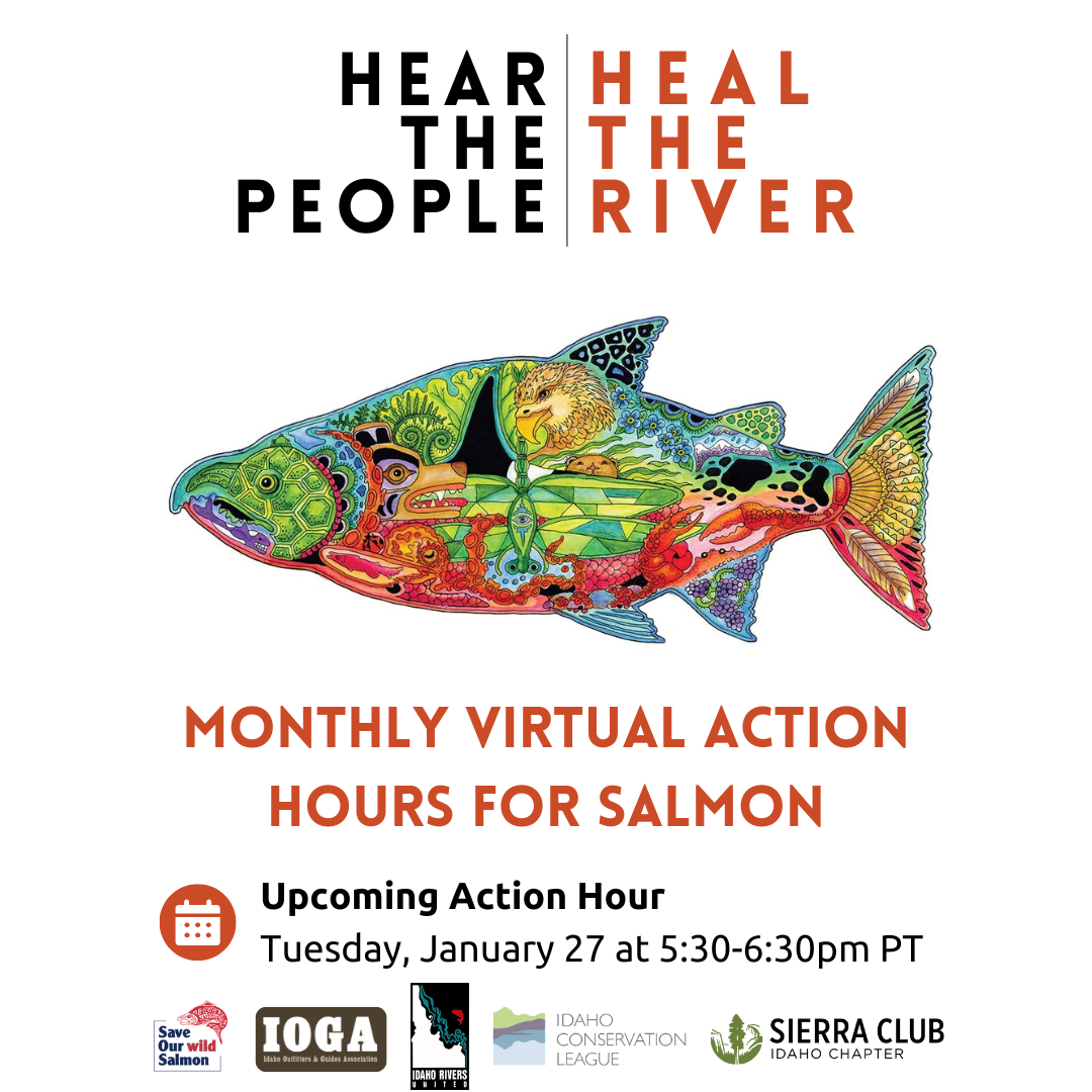 Salmon Action Hour - Virtual