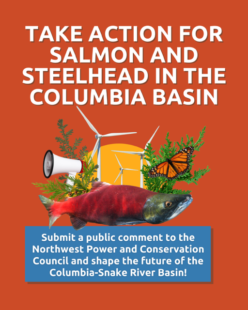 Northwest Power Council Hearing & Pre-Meeting - Boise, ID