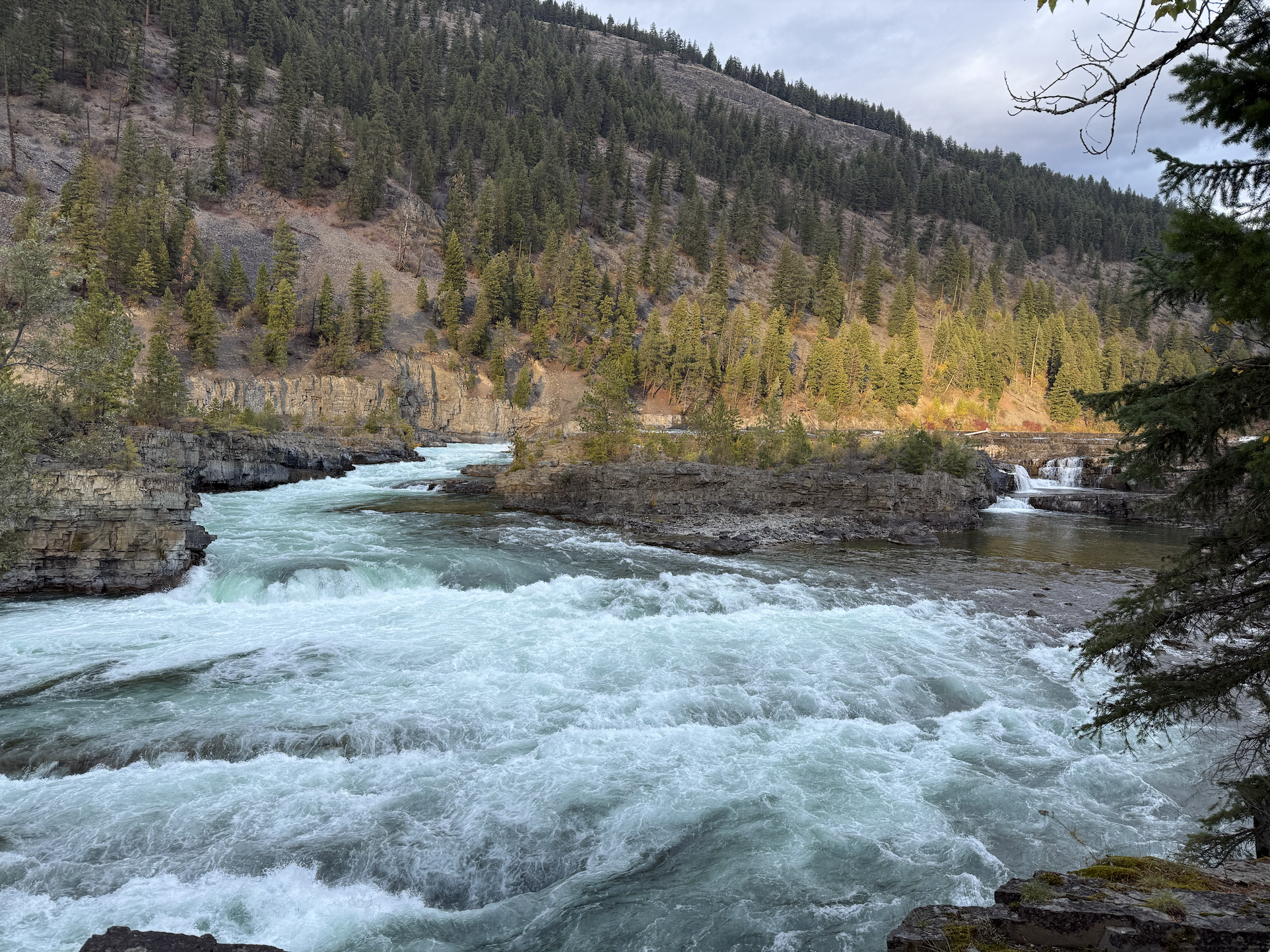 It’s Time to Hit Pause on Glencore’s Attempt to Expand the Fording River Mine