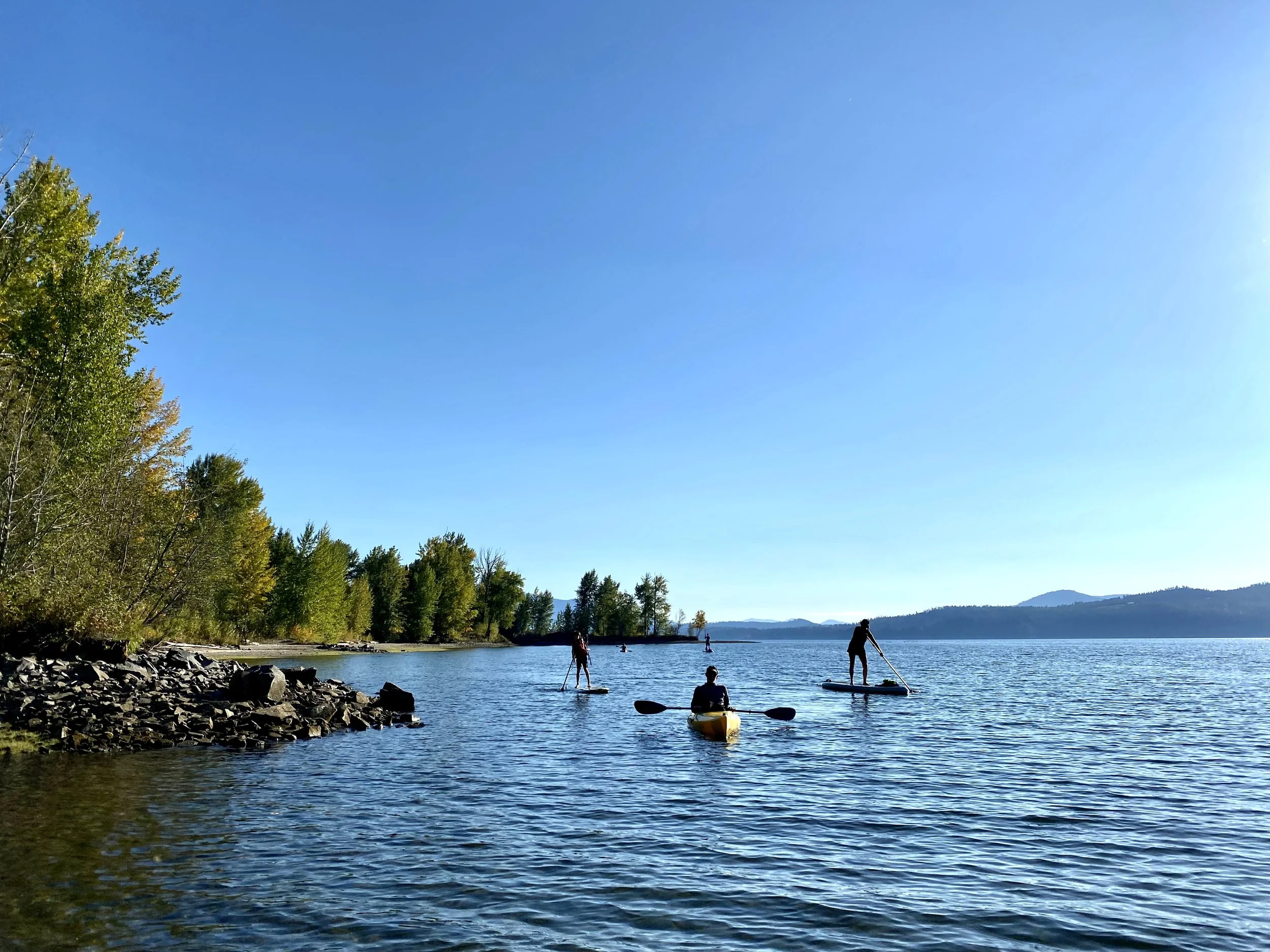 When Regulators Fail, the Courts Are the Last Refuge for Bull Trout