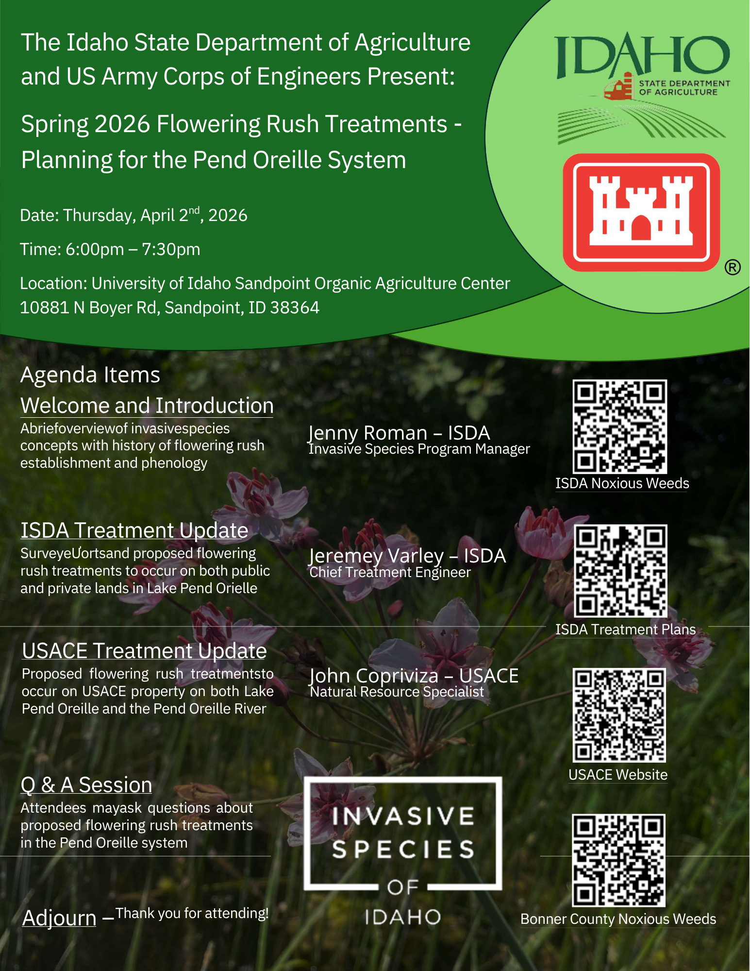 Spring 2026 Flowering Rush Treatments - Sandpoint