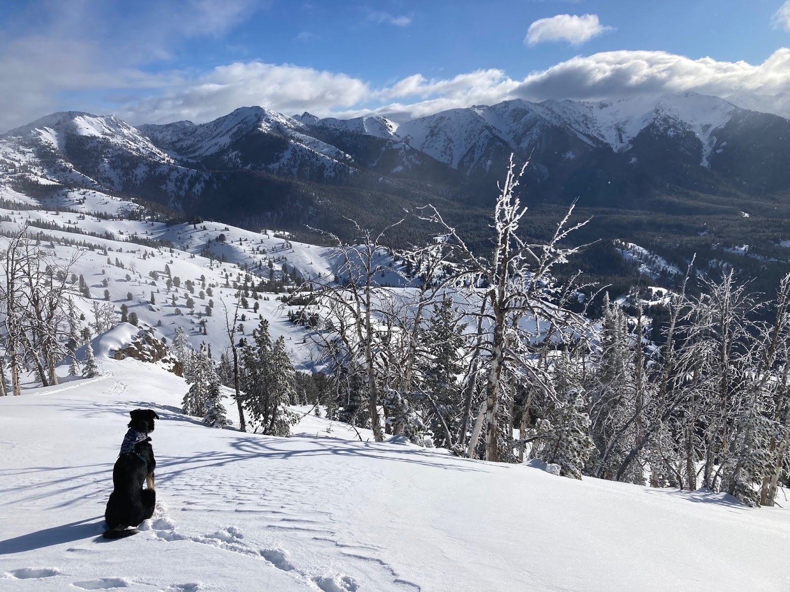 Inside the Forest Service Reorganization: The Good, the Uncertain, and the Ugly