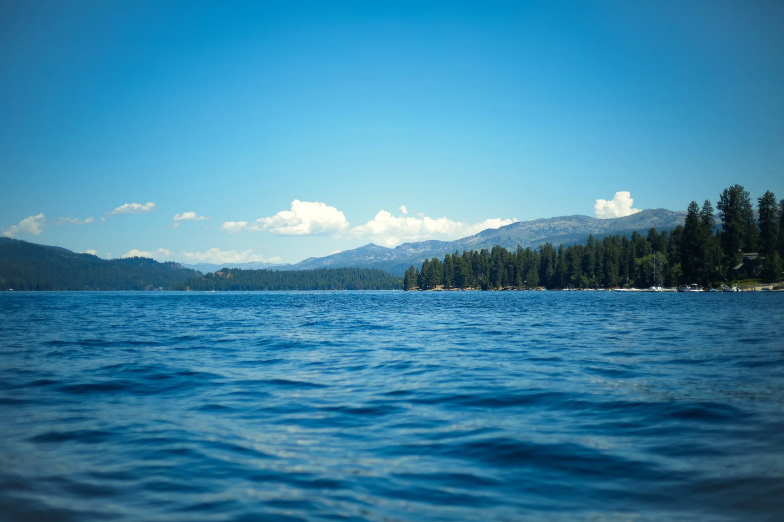 Idaho Gives Nonprofit Community Fair - McCall