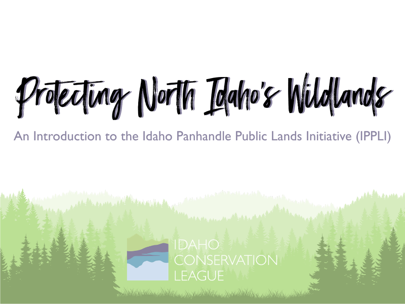 Protecting North Idaho’s Wildlands: An Introduction to the Idaho Panhandle Public Lands Initiative (IPPLI)- Bonners Ferry, ID