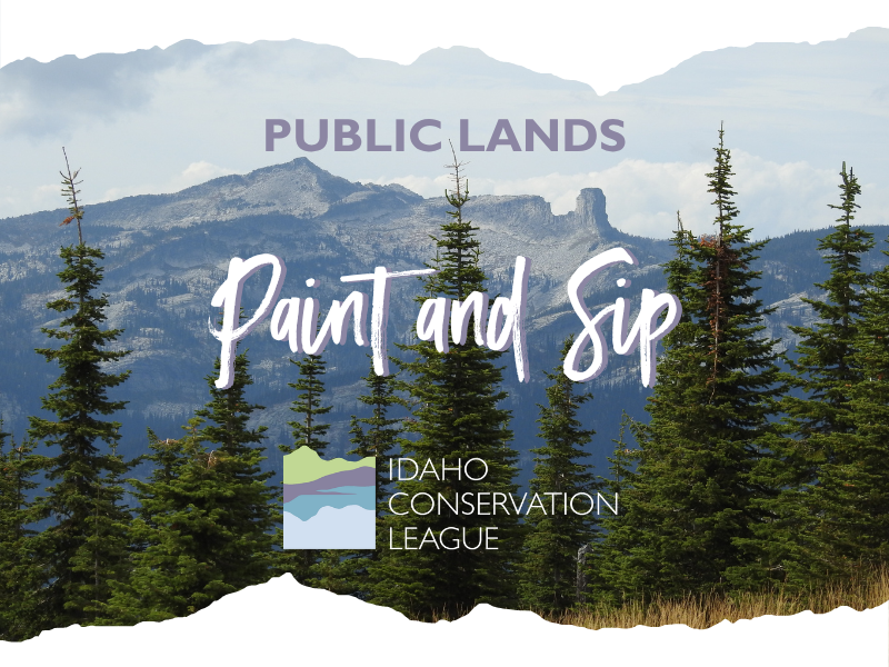Public Lands Paint & Sip - Sandpoint, ID 