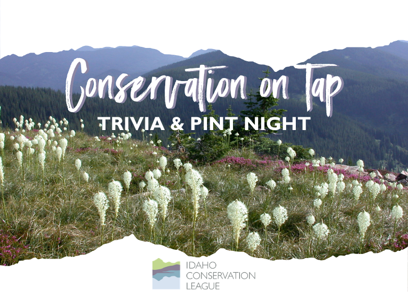 Conservation on Tap: Trivia &amp; Pint Night - Sandpoint, ID
