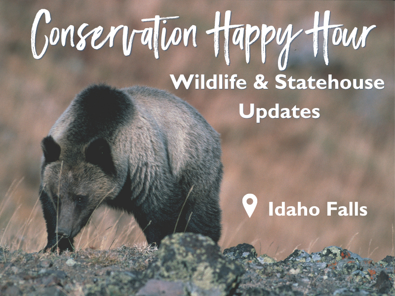 Conservation Happy Hour: Wildlife &amp; Statehouse Updates - Idaho Falls, ID