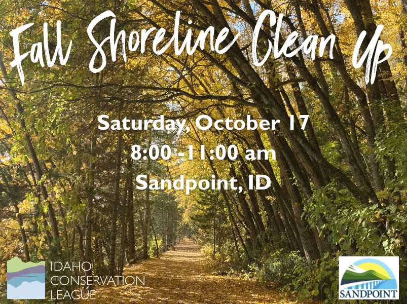 Fall Shoreline Clean Up with ICL