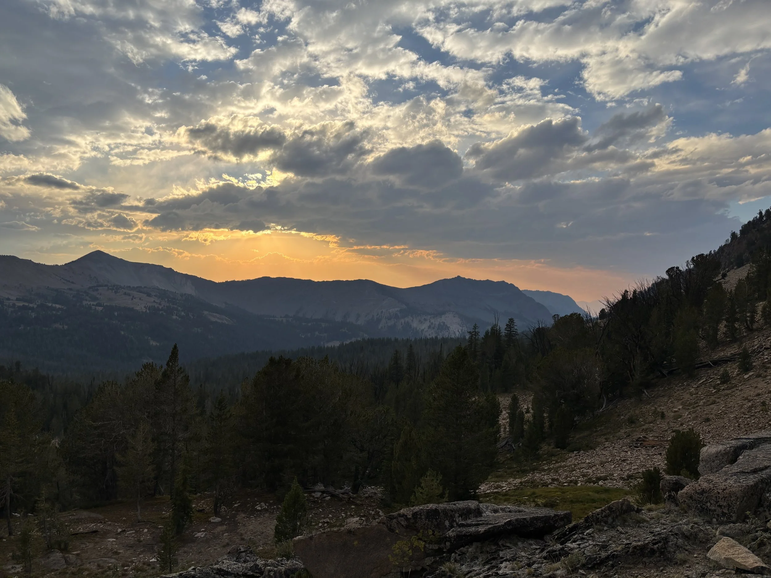 Unrestrained off-road vehicle use threatens our National Forests. Say no to the proposed replacement of the Travel Management Rule