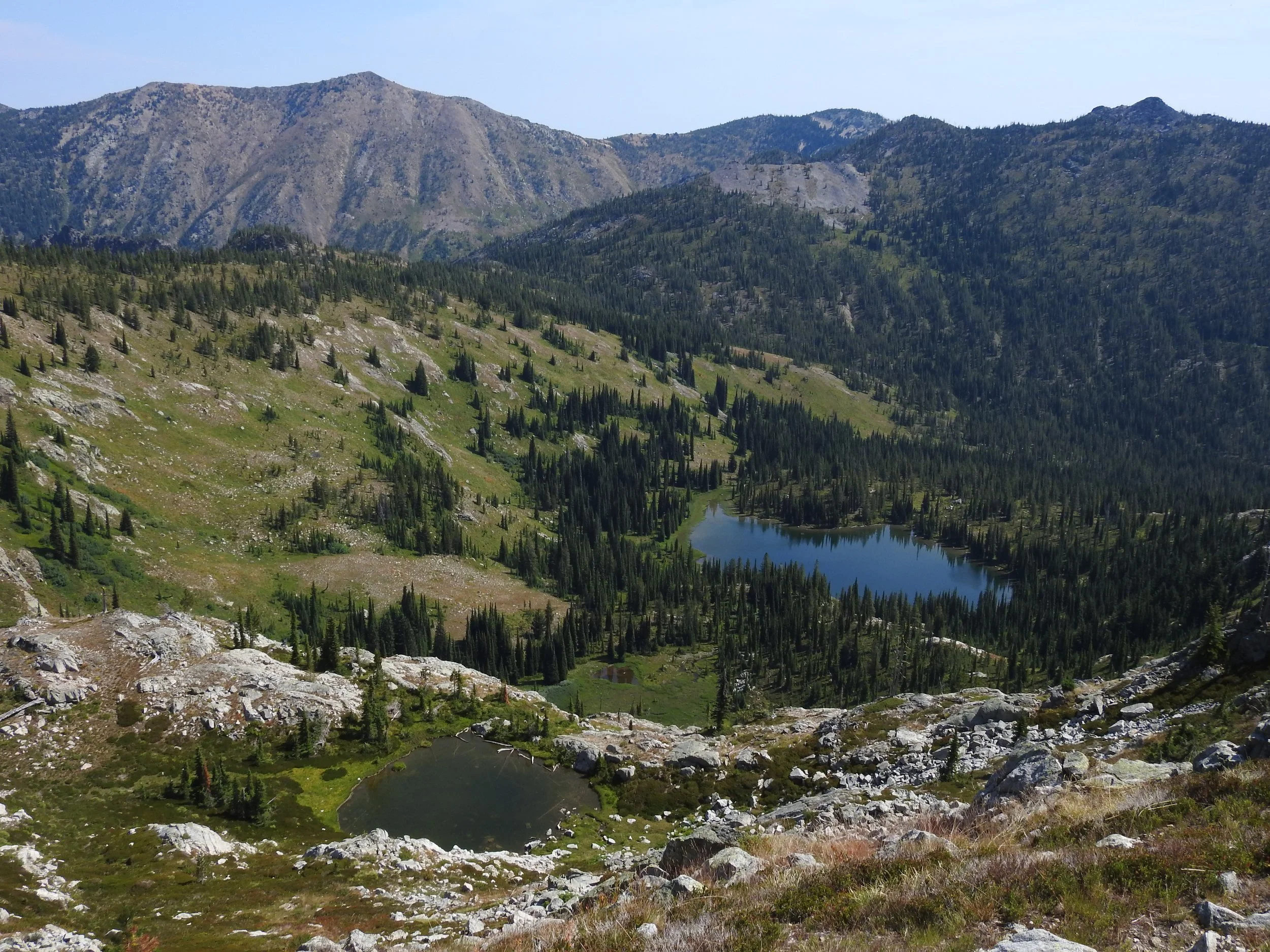 NEWS RELEASE: Lawsuit Challenges New U.S. Forest Service Plan for Nez Perce-Clearwater Forests