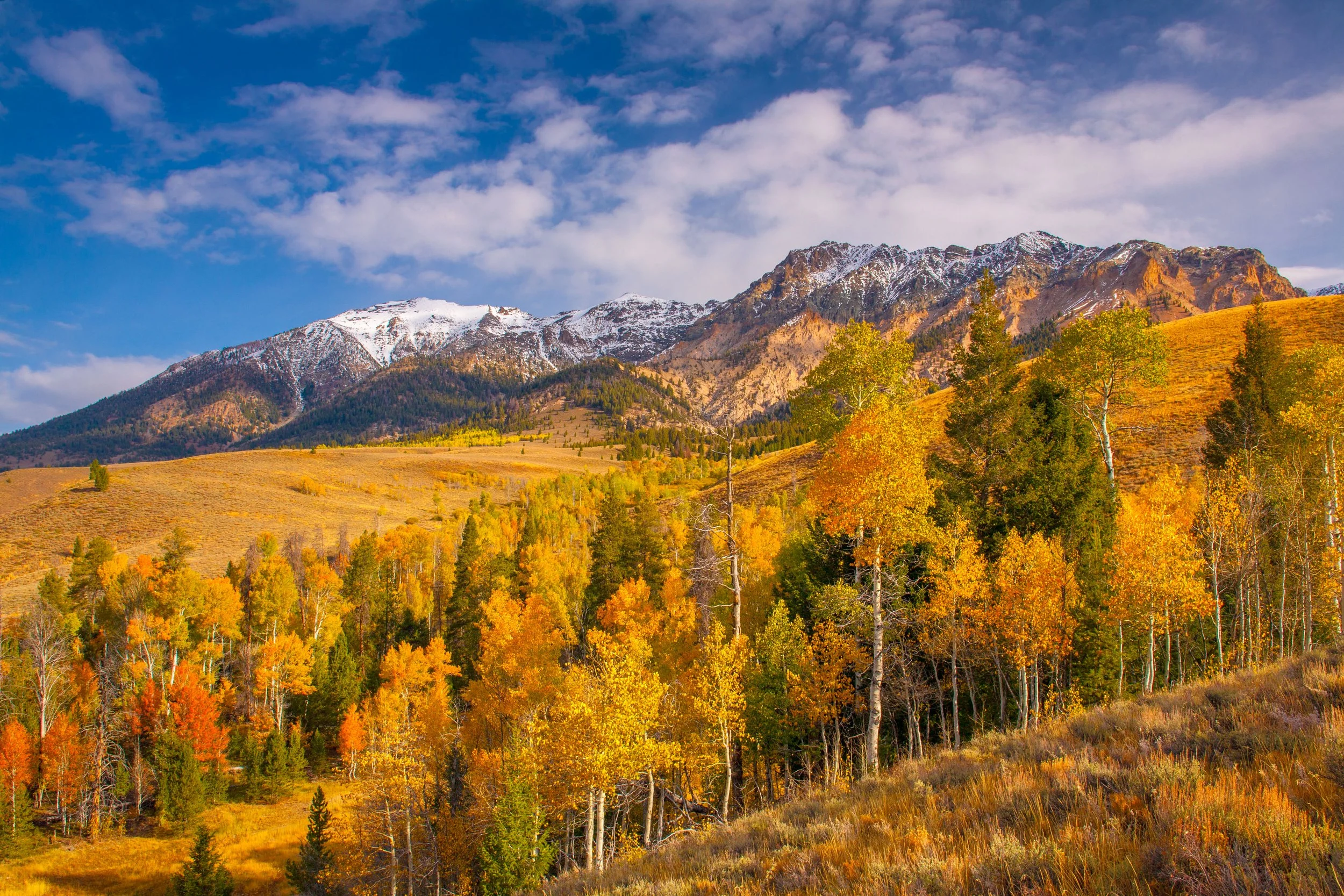 Idaho Public Lands Advocates Respond to Latest Sell-Off Proposal: Rural Idaho Needs Teamwork, not a Giveaway