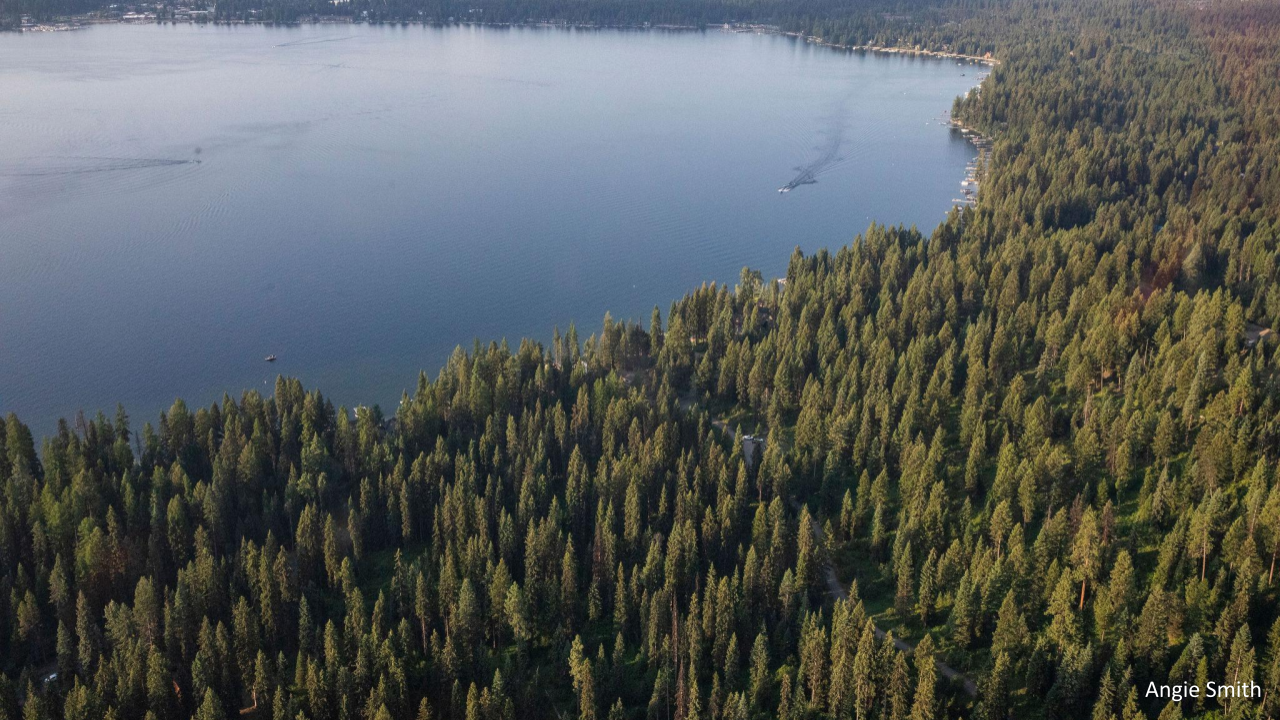 A USFS/IDL land exchange provides a win for all Idahoans
