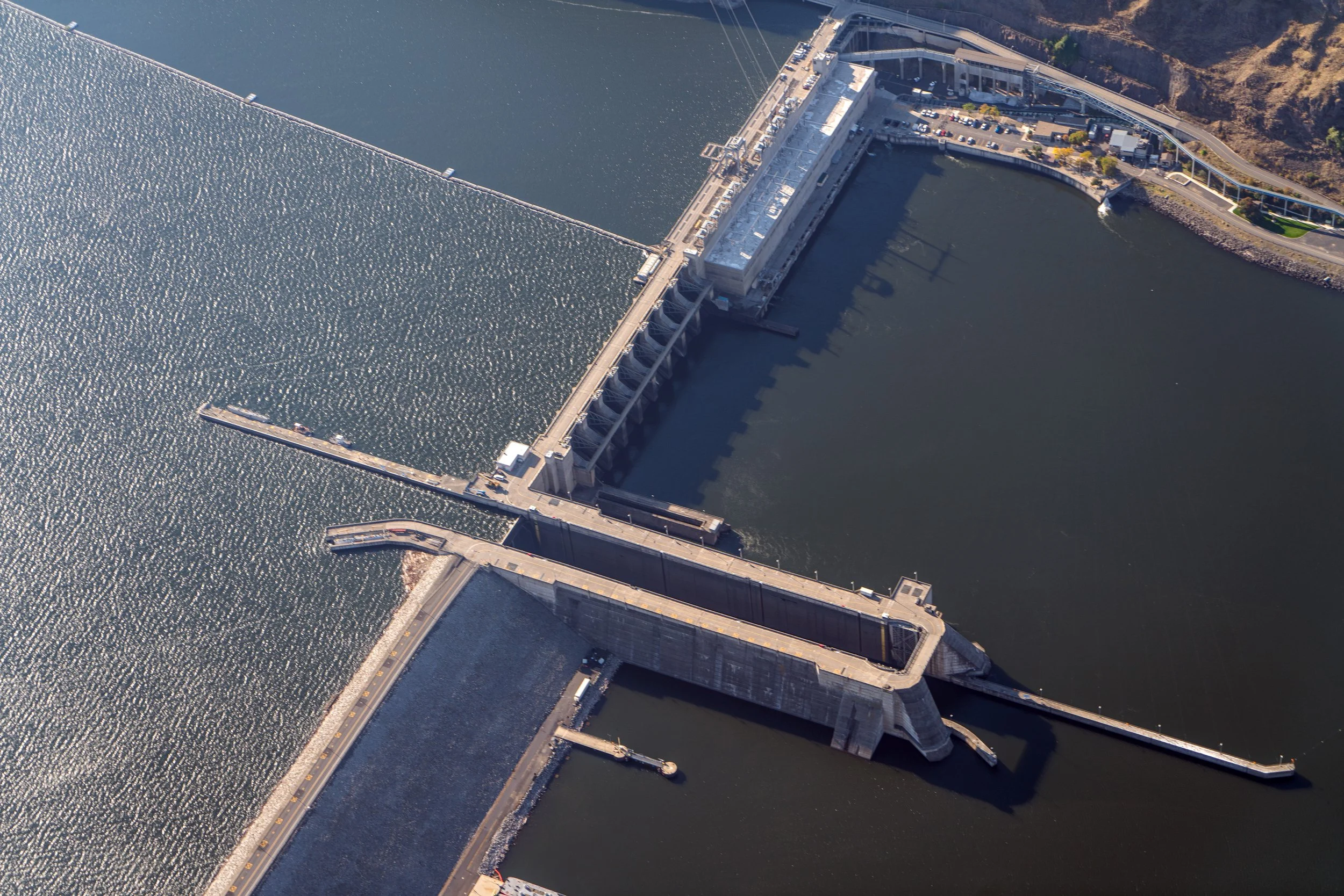 Power Council Draft Fish and Wildlife Amendments Fall Short for Salmon ...