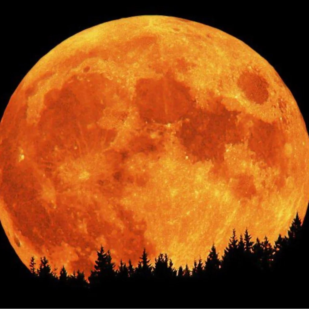 When I was living in the Yukon in 1994, I went out one October night. The moon at the end of the road was glowing orange, enormous and in my face. I could see all the details of the surface and it felt quite intimidating as I had never witnessed anyt