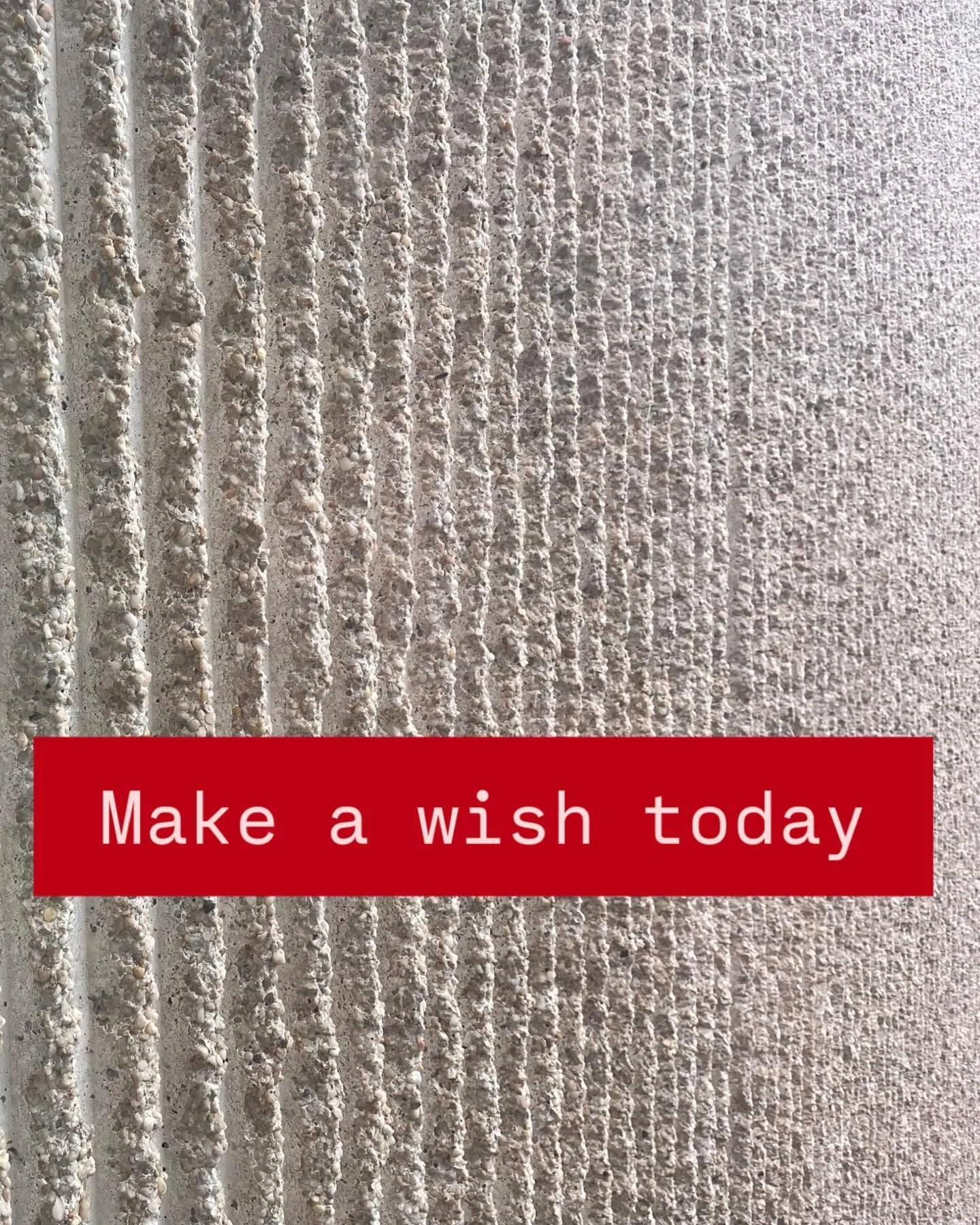 Today&rsquo;s New Moon asks you to make a wish.  It is a potent one coinciding with the Solar Eclipse and Lunar New Year.