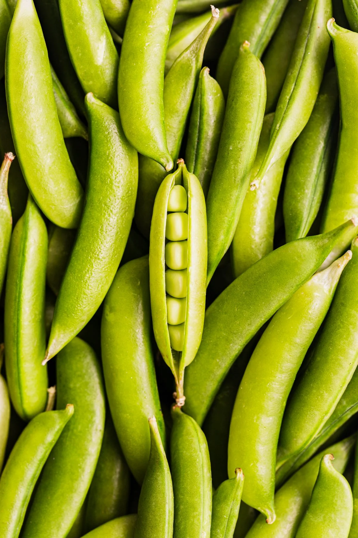 snap peas-1.jpg
