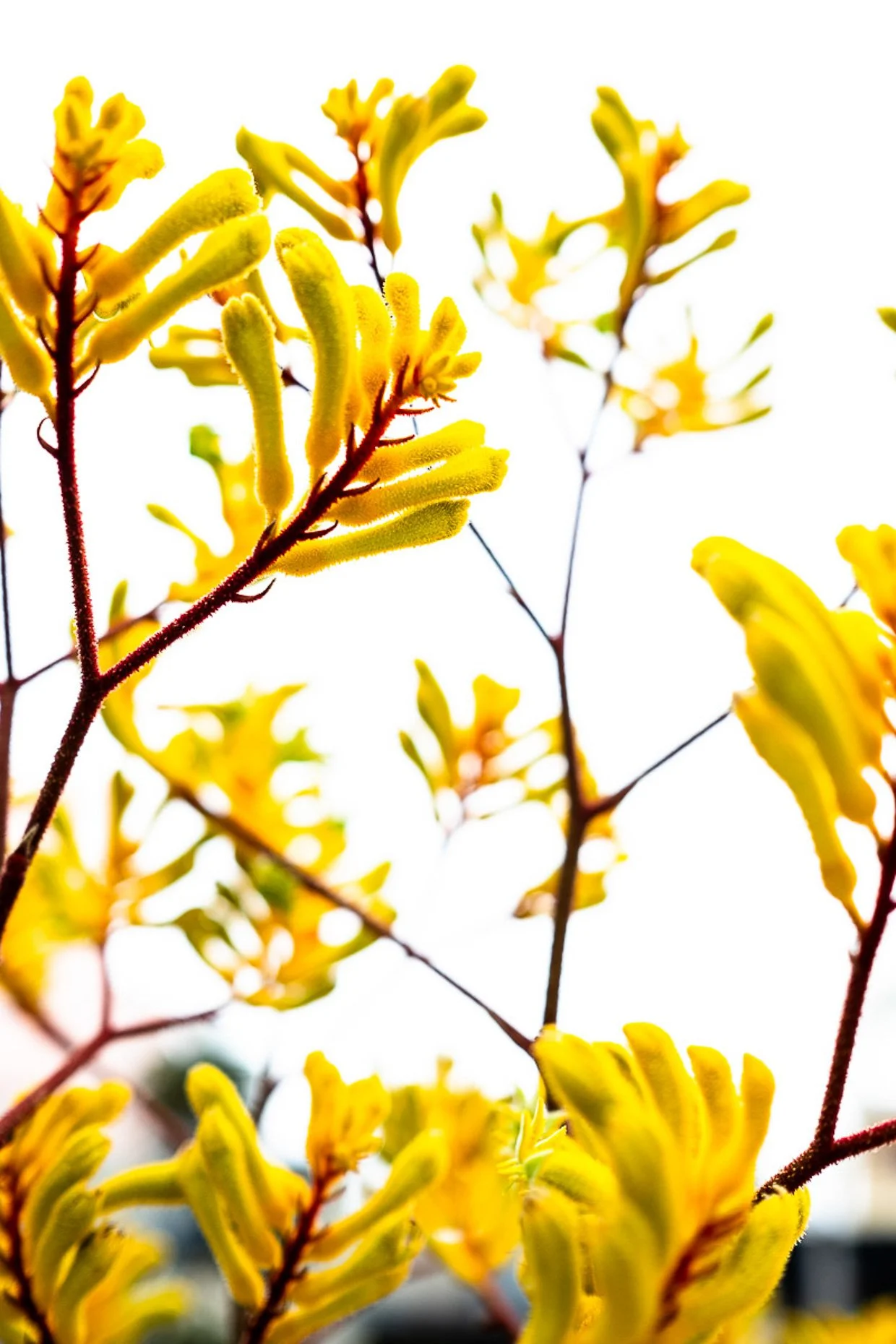 Website-1466.jpg