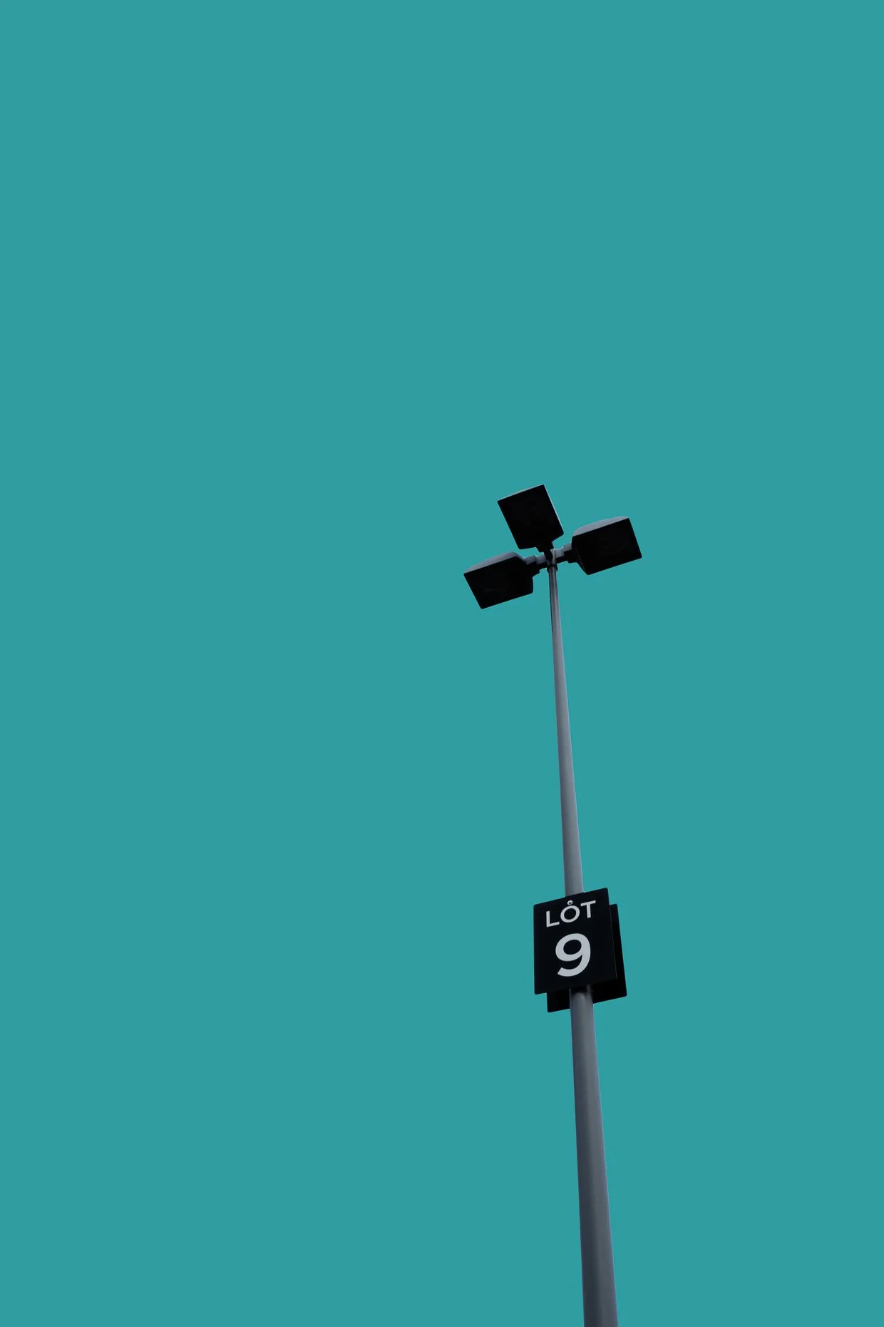 Website--3.jpg