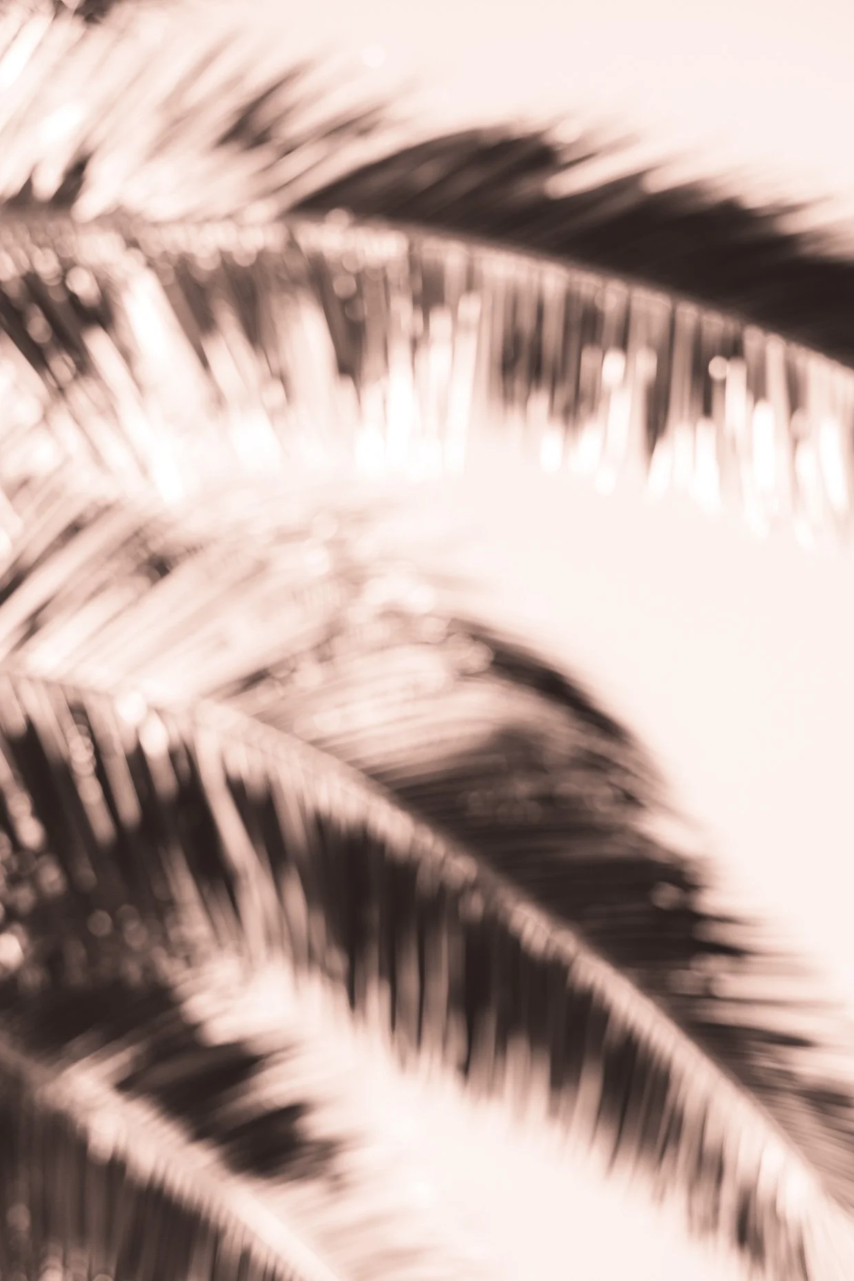Website--4.jpg