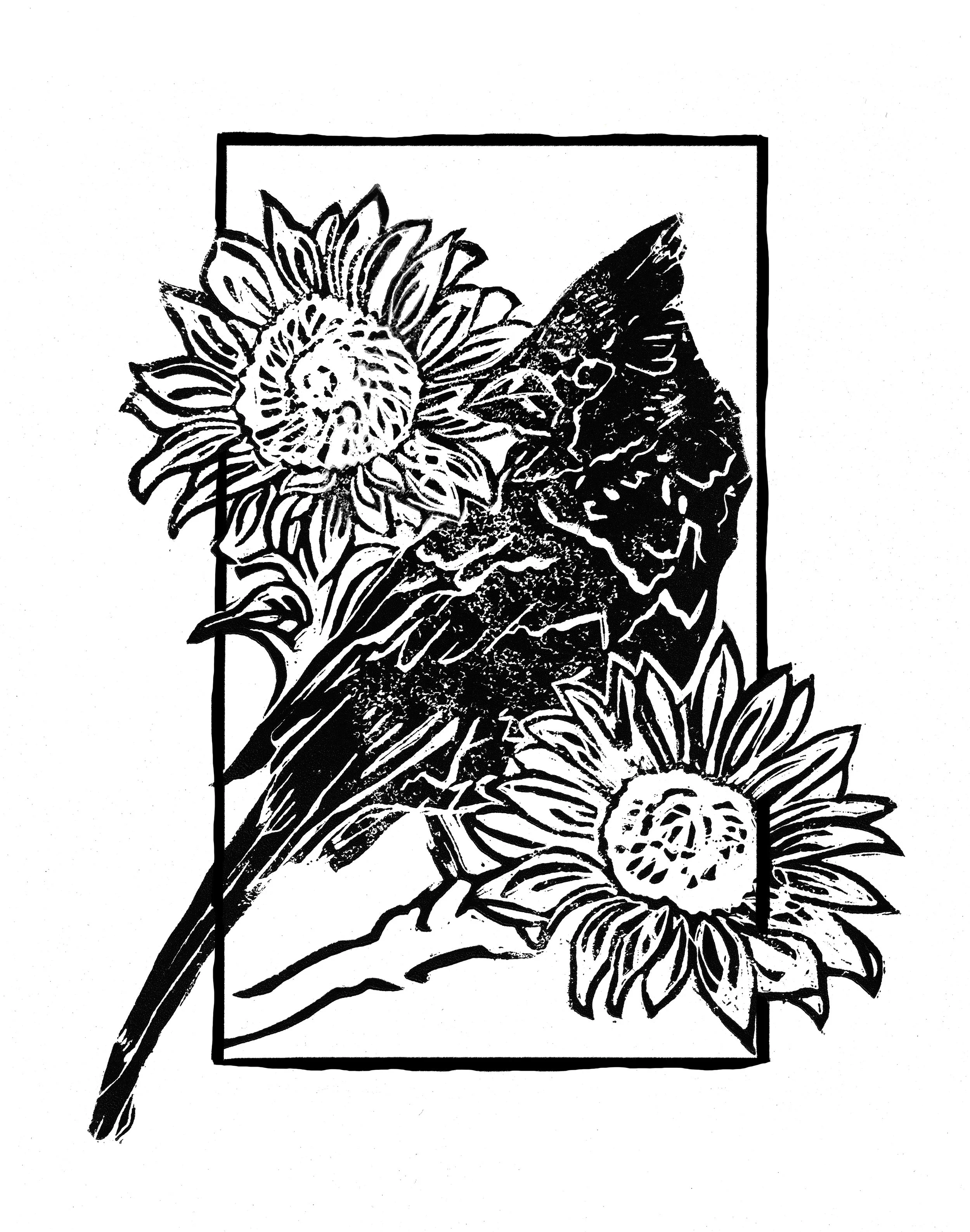 Bird Blacl box wobbly.jpg