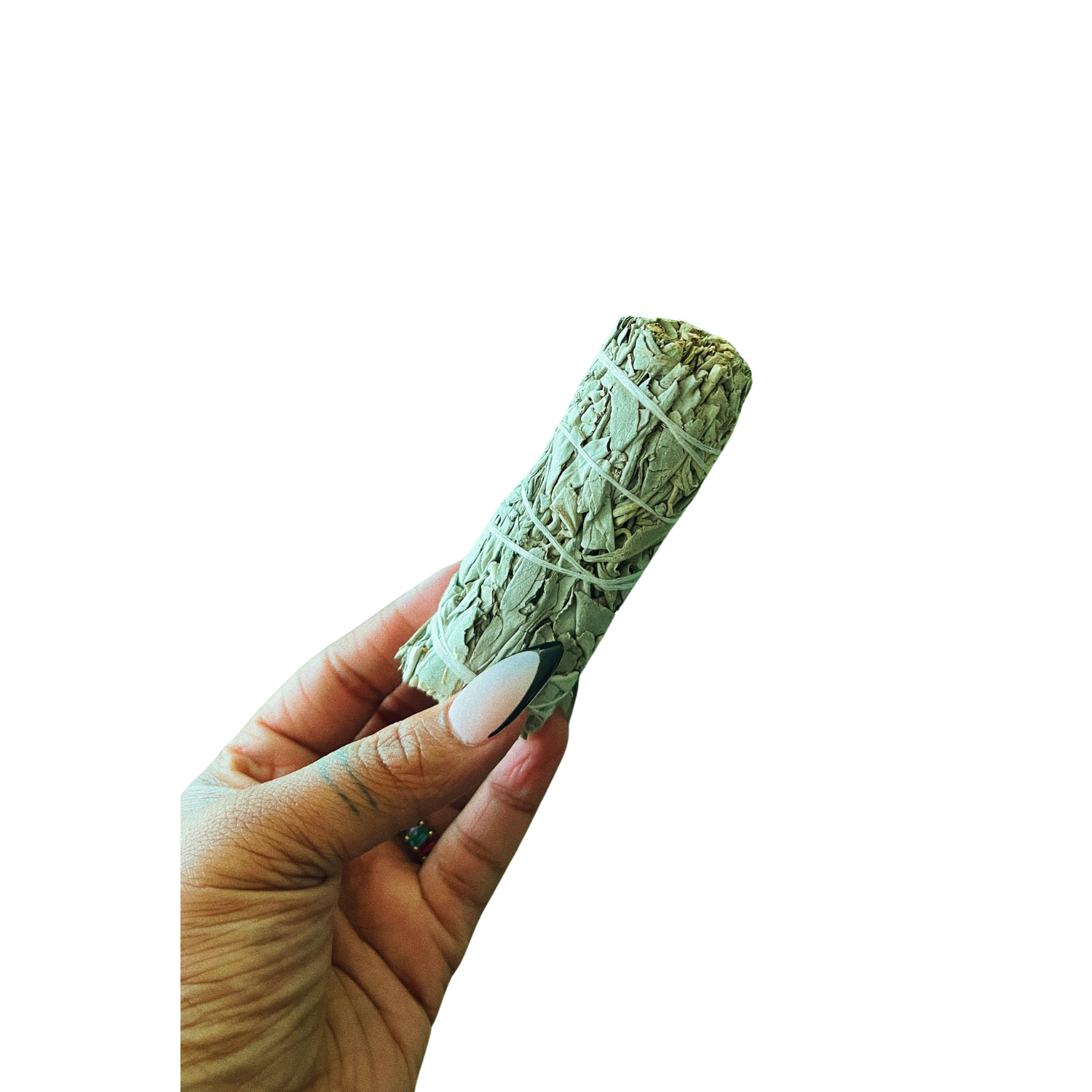 Hand holding a sage smudge stick with black background.