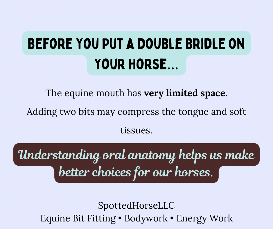 Why I Don’t Fit Double Bridles (And Why Requiring Them in Competition Makes No Sense)