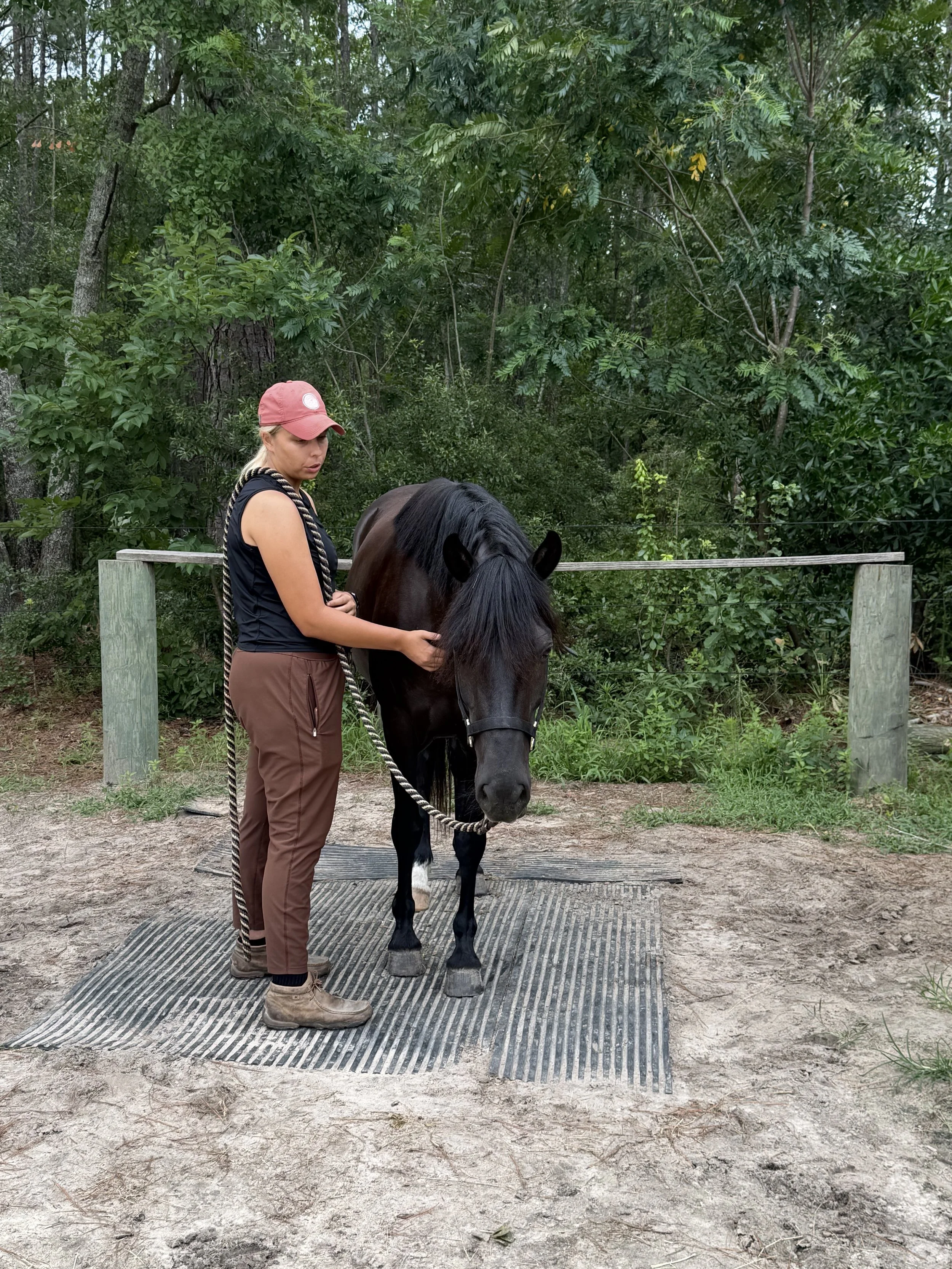 A woman holding a black horse on a dirt and rubber mat pathway, surrounded by green trees and a wooden fence.