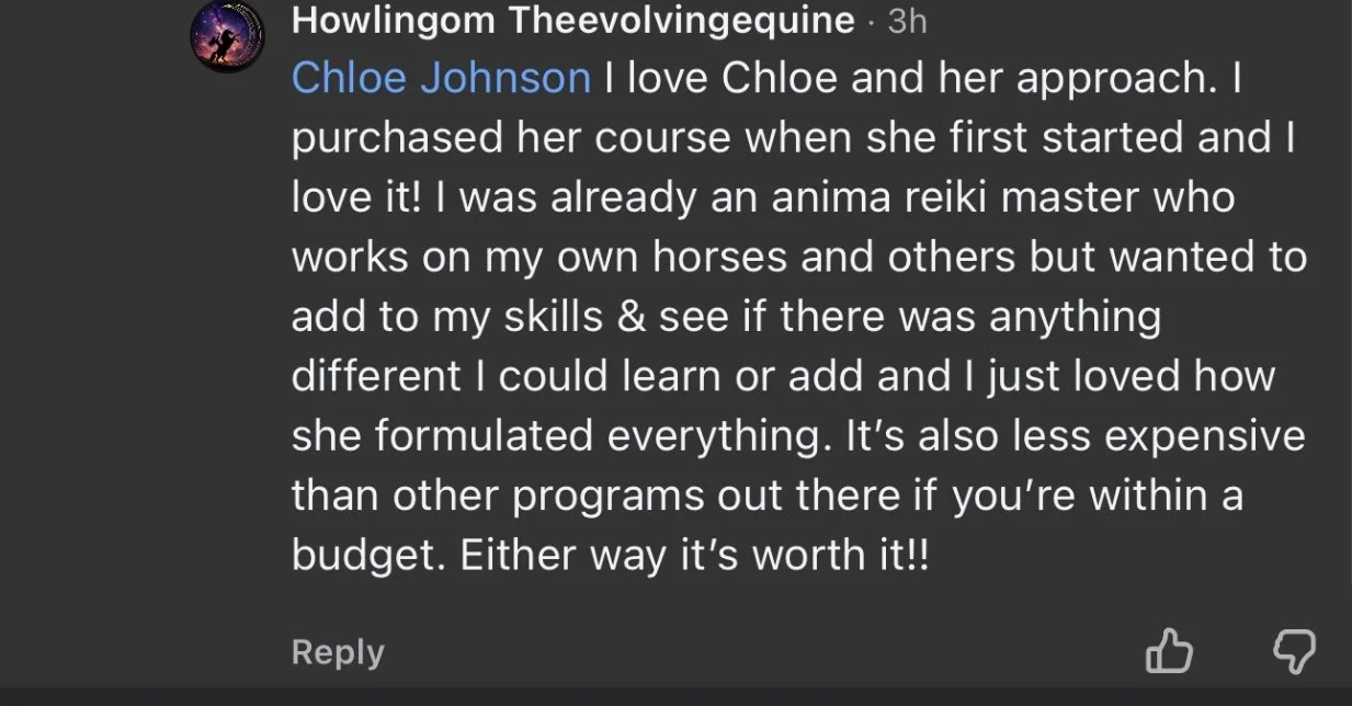 Screenshot of a Facebook post praising Chloe Johnson for her approach to Reiki training and her skills with horses.