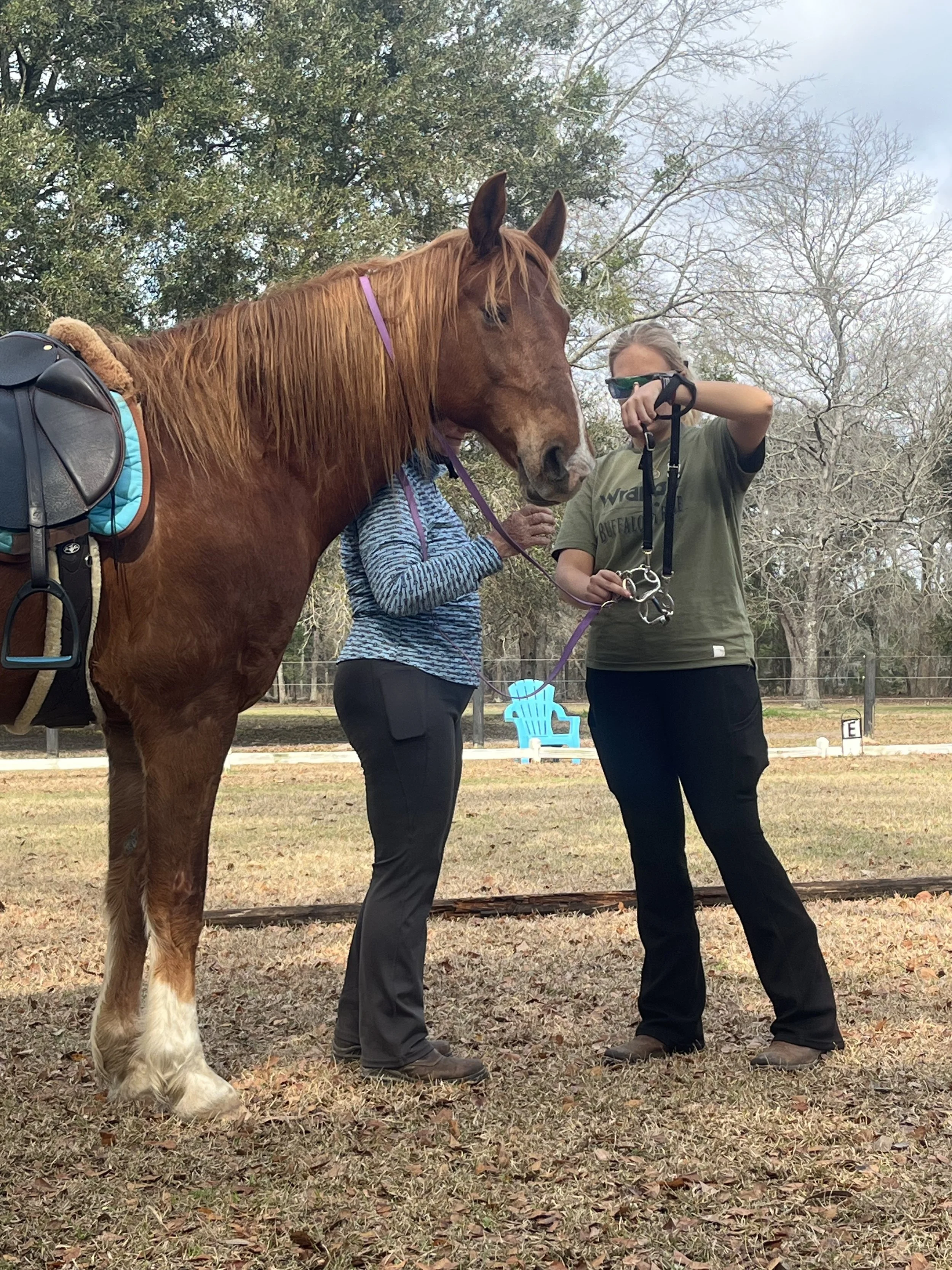 A woman in black pants and a woman in a striped blue and gray shirt with black pants are standing outside with a large chestnut-colored horse. The woman in the striped shirt is holding a purple lead rope attached to the horse's halter. The woman in the dark pants is holding the horse's bridle. The horse is saddled and wearing a pink halter. Background features trees, fall leaves, a blue toy chair, and a fenced area.