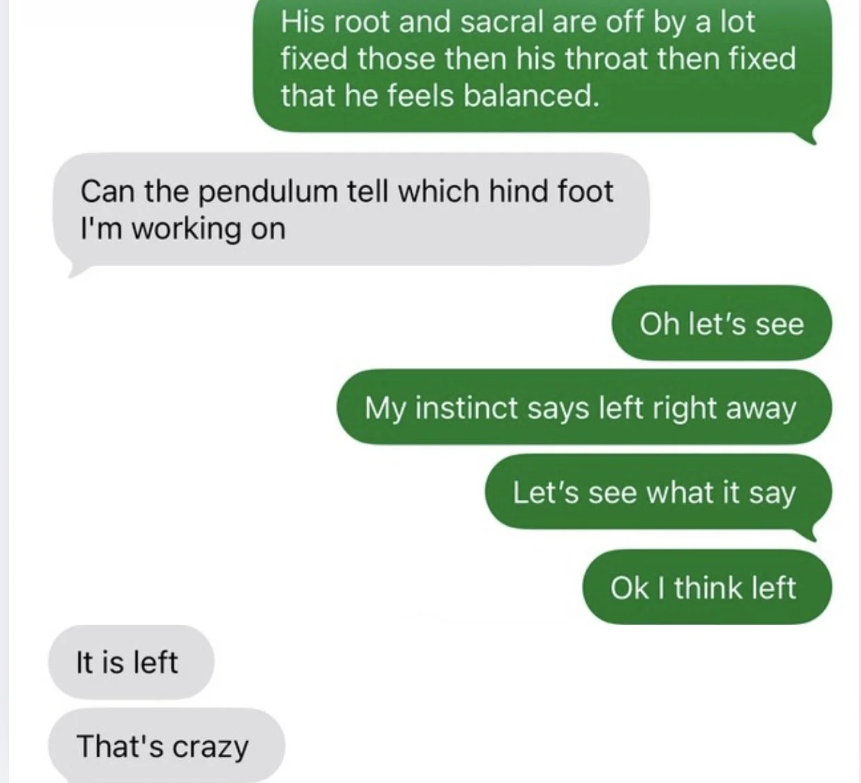 Text message about using intuition and a pendulum to help a farrier