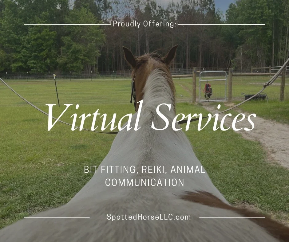 A horse's view from behind, looking out over a grassy field with fencing, trees, and a gate in the distance. Text overlay advertising virtual services including bit fitting, Reiki, and animal communication by SpottedHorseLLC.com.