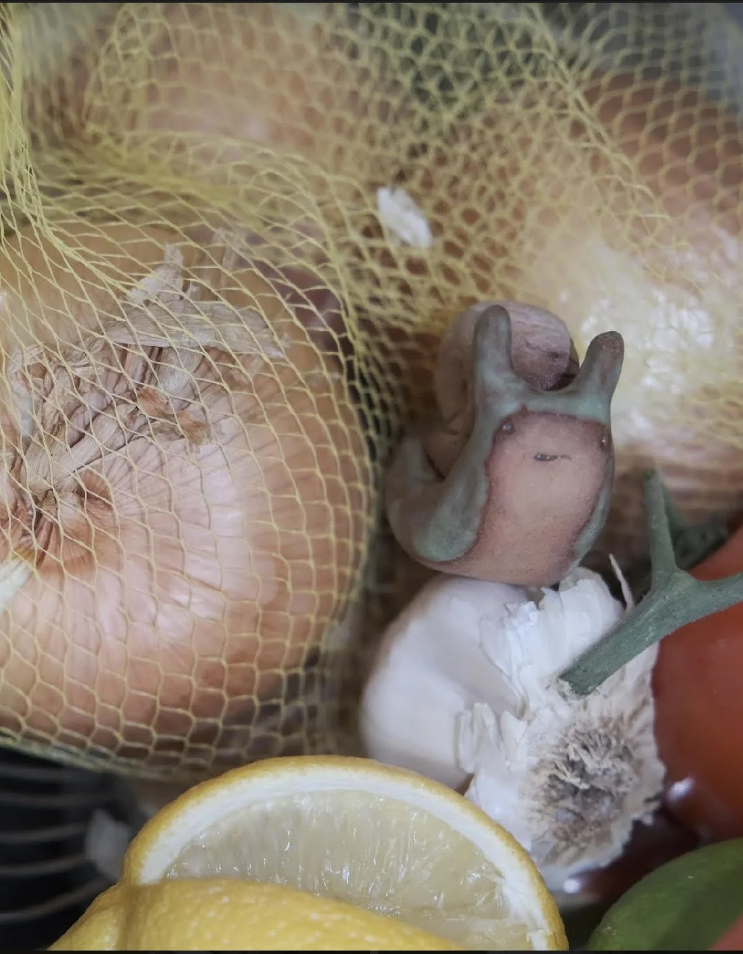 fruit.jpg