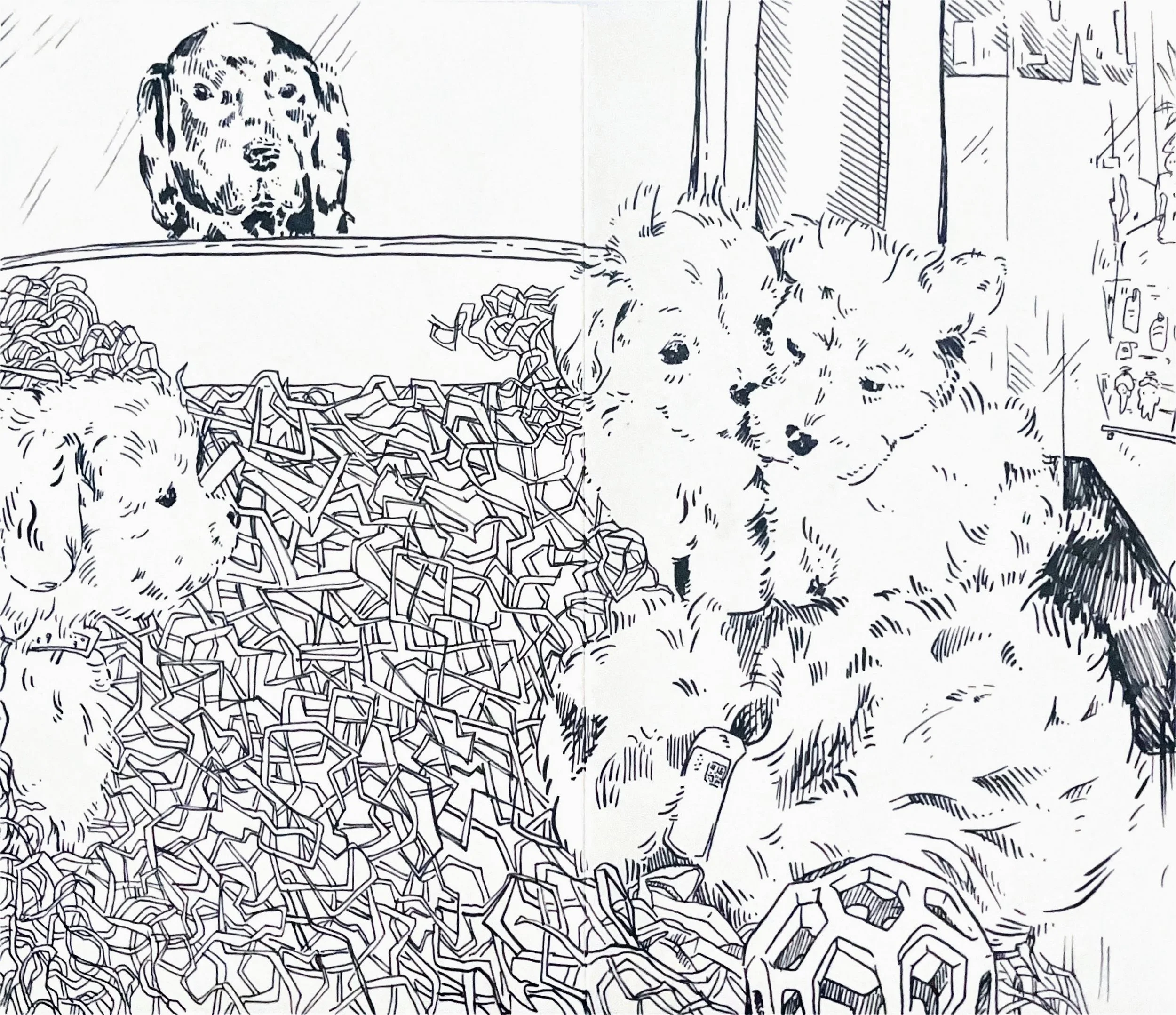Puppies through the adoption window- live drawing with ink