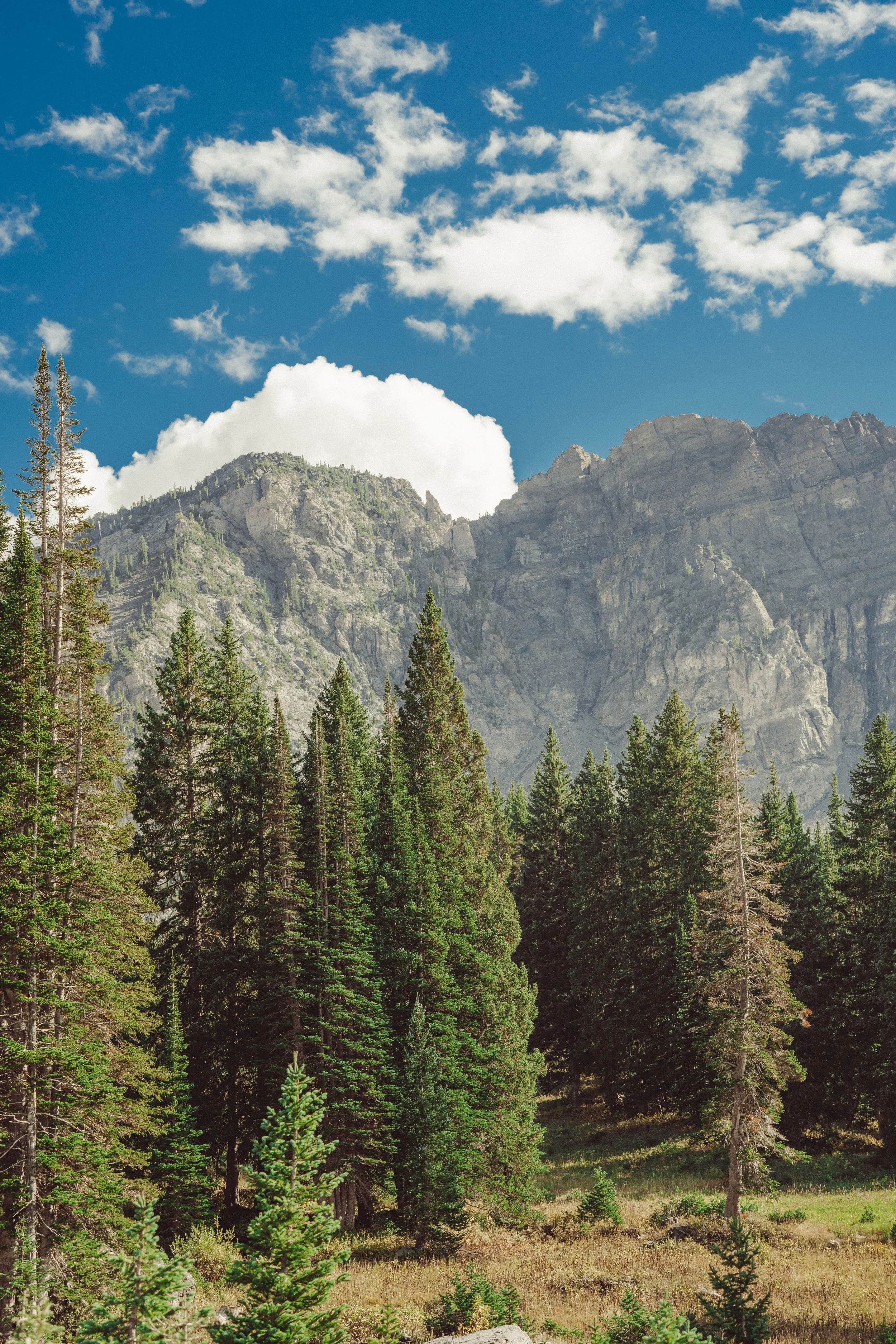Devil's Castle, Albion Basin, Alta, Utah Print