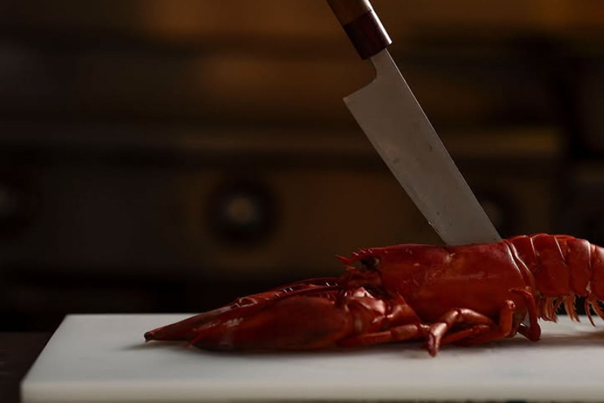 Caviar, Lobster and Elegant Energy Find a Home at Osetra