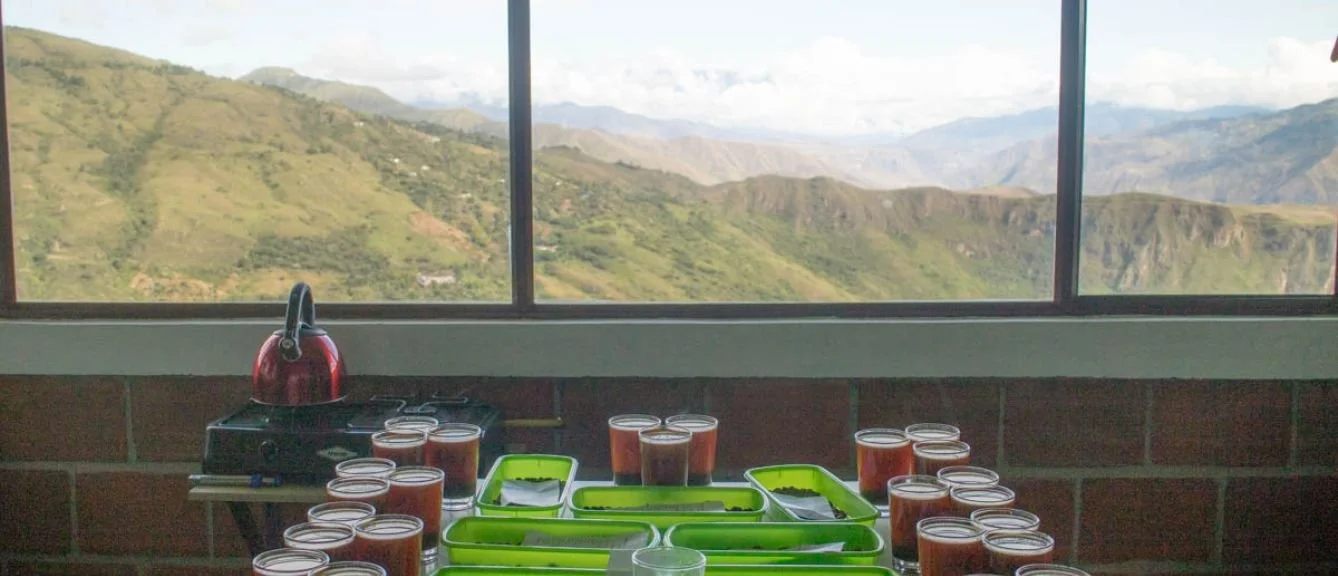 colombia-sweet-marias-coffee-general-buesaco-11.jpg