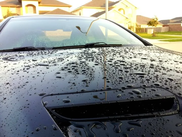 Close-up of a black car hood covered in water droplets, with suburban houses in the background.