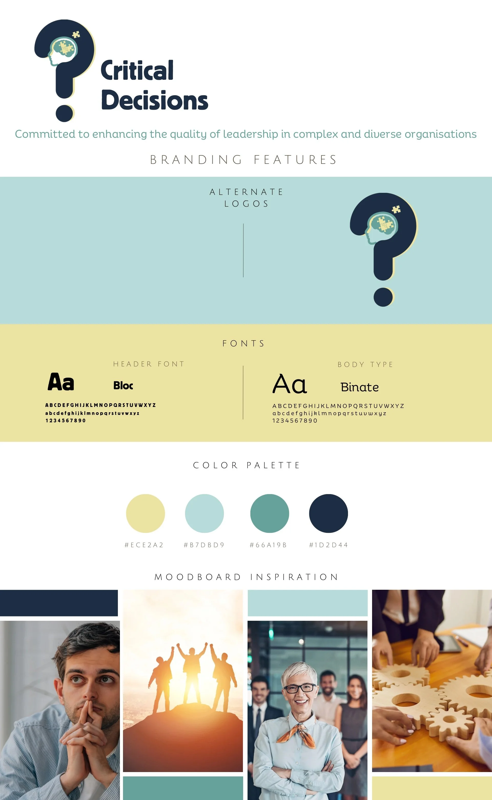 Critical+Decisions+Branding+Board.jpg