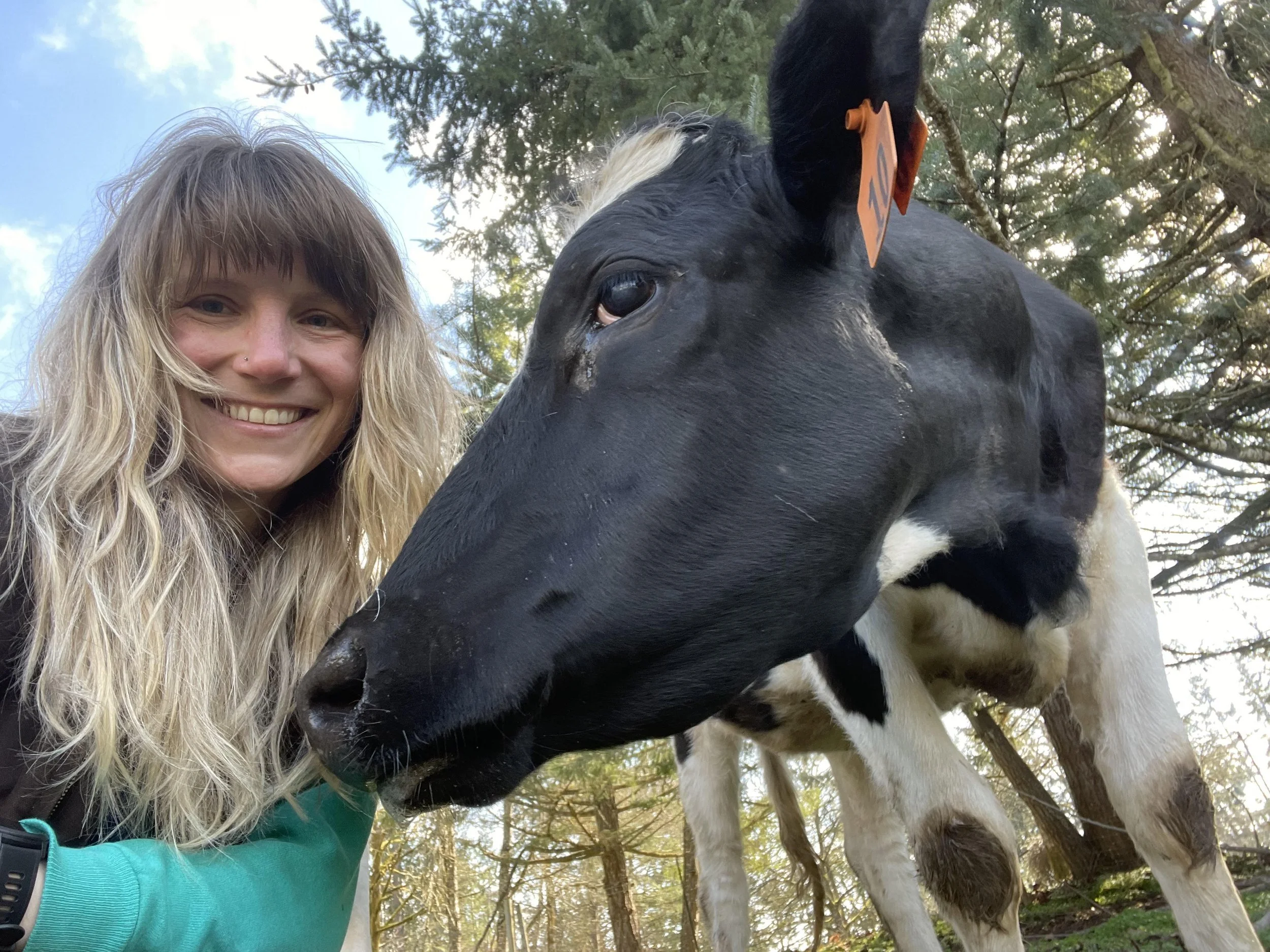 Meet Rachel, Our New Acupuncturist