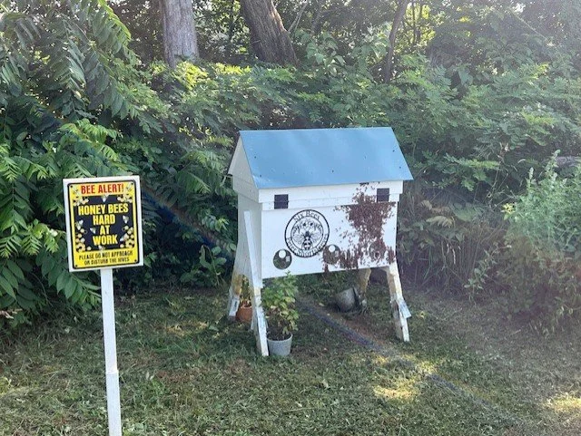 Hive with Bees 1.jpg