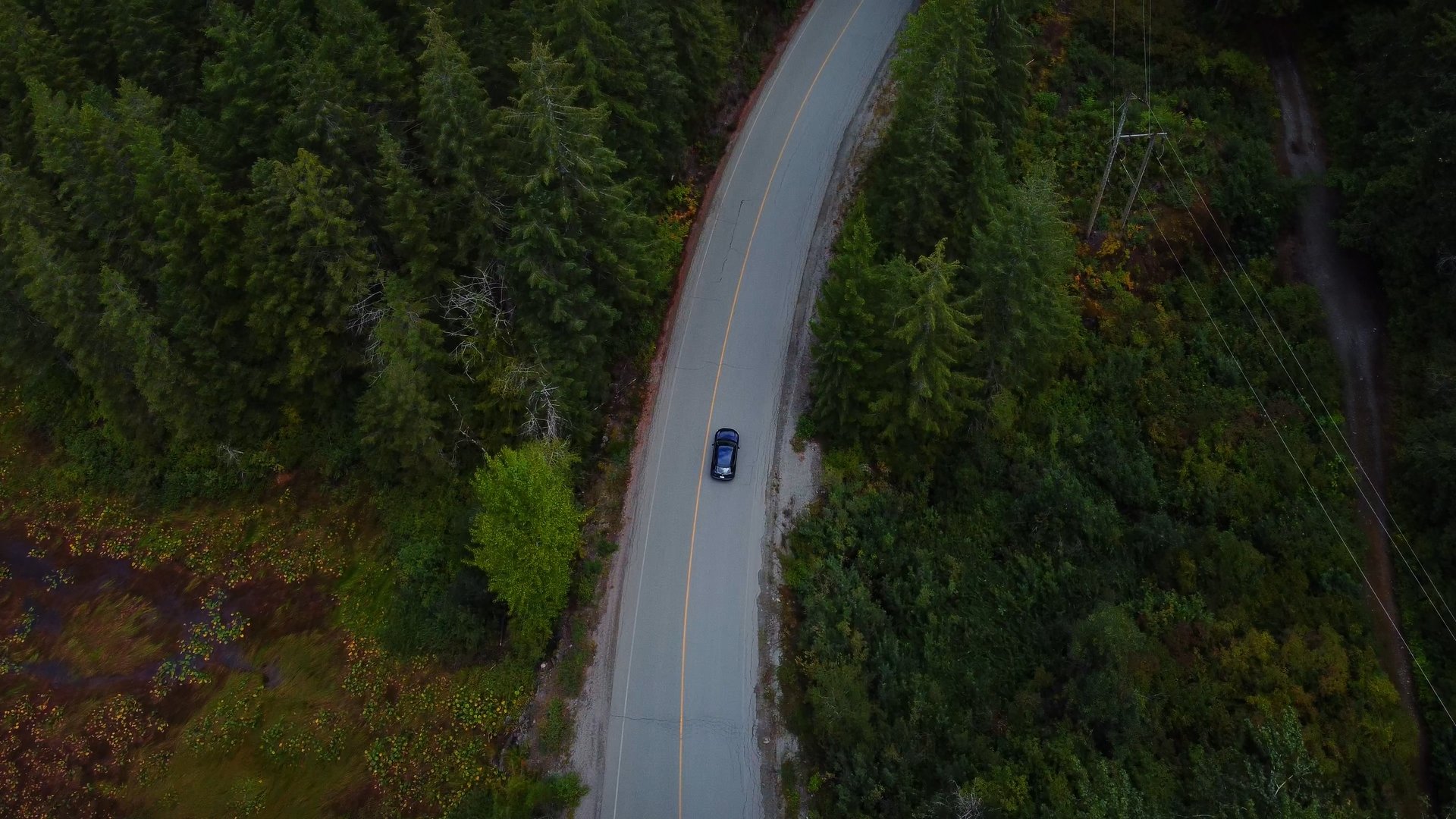 Still 2025-03-21 162336_1.7.1.jpg