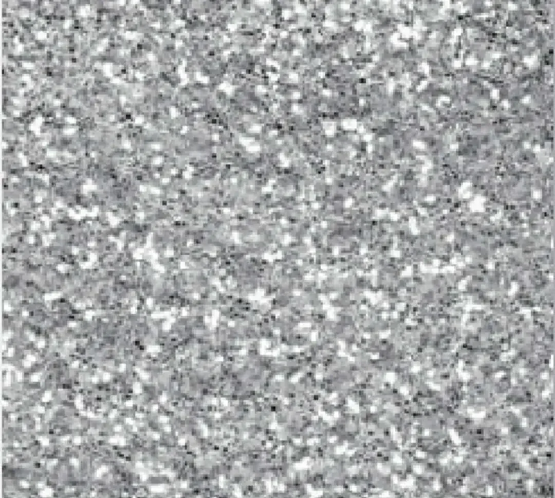 Silver Glitter