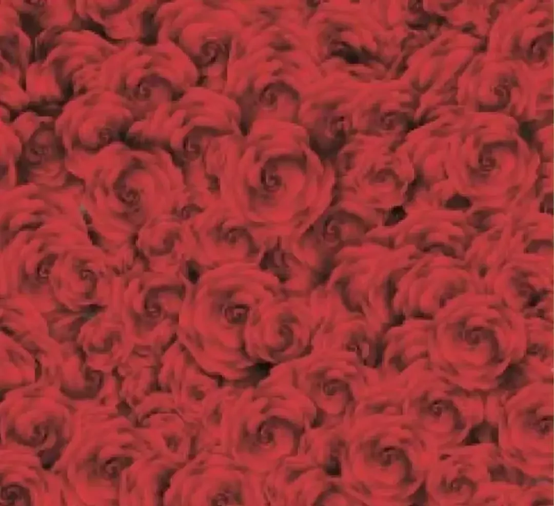 Red Floral Rose