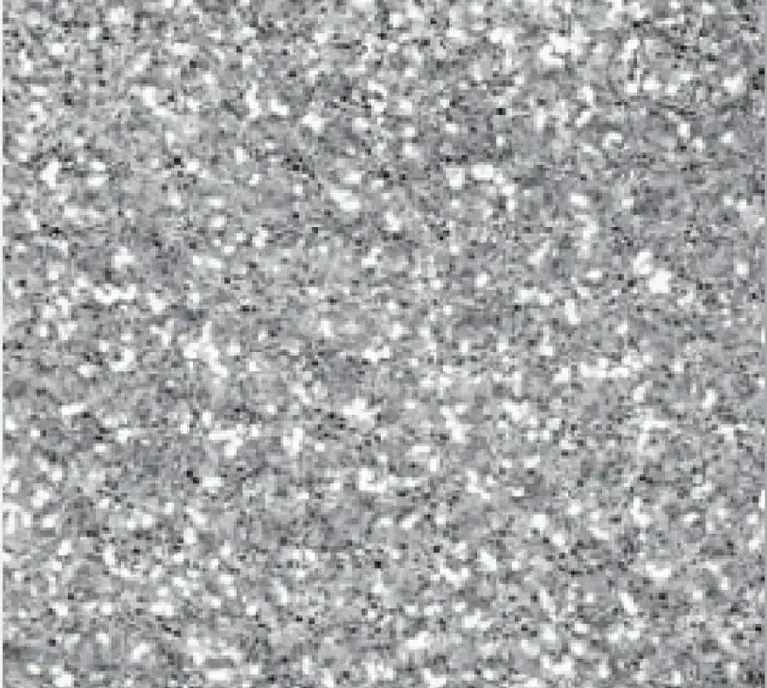Silver Glitter