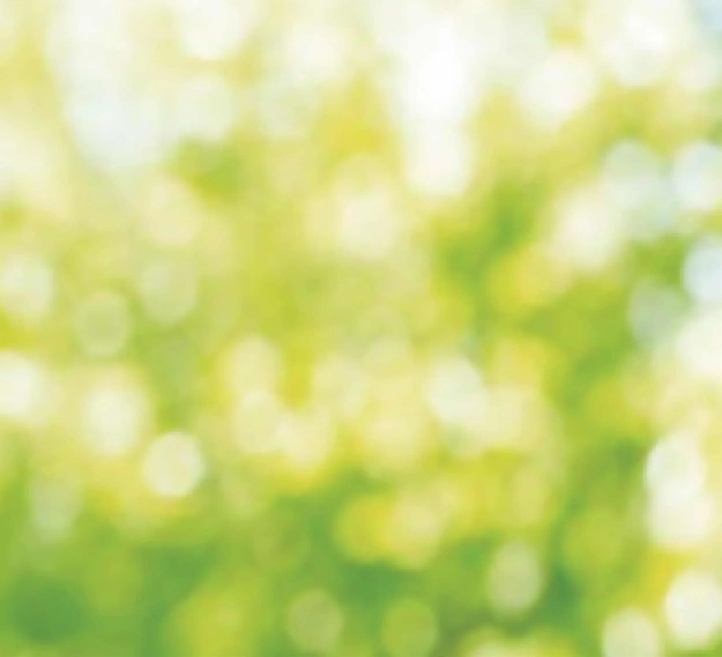 Green Bokeh Shimmer