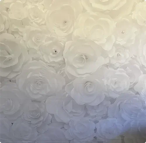 White Floral Rose