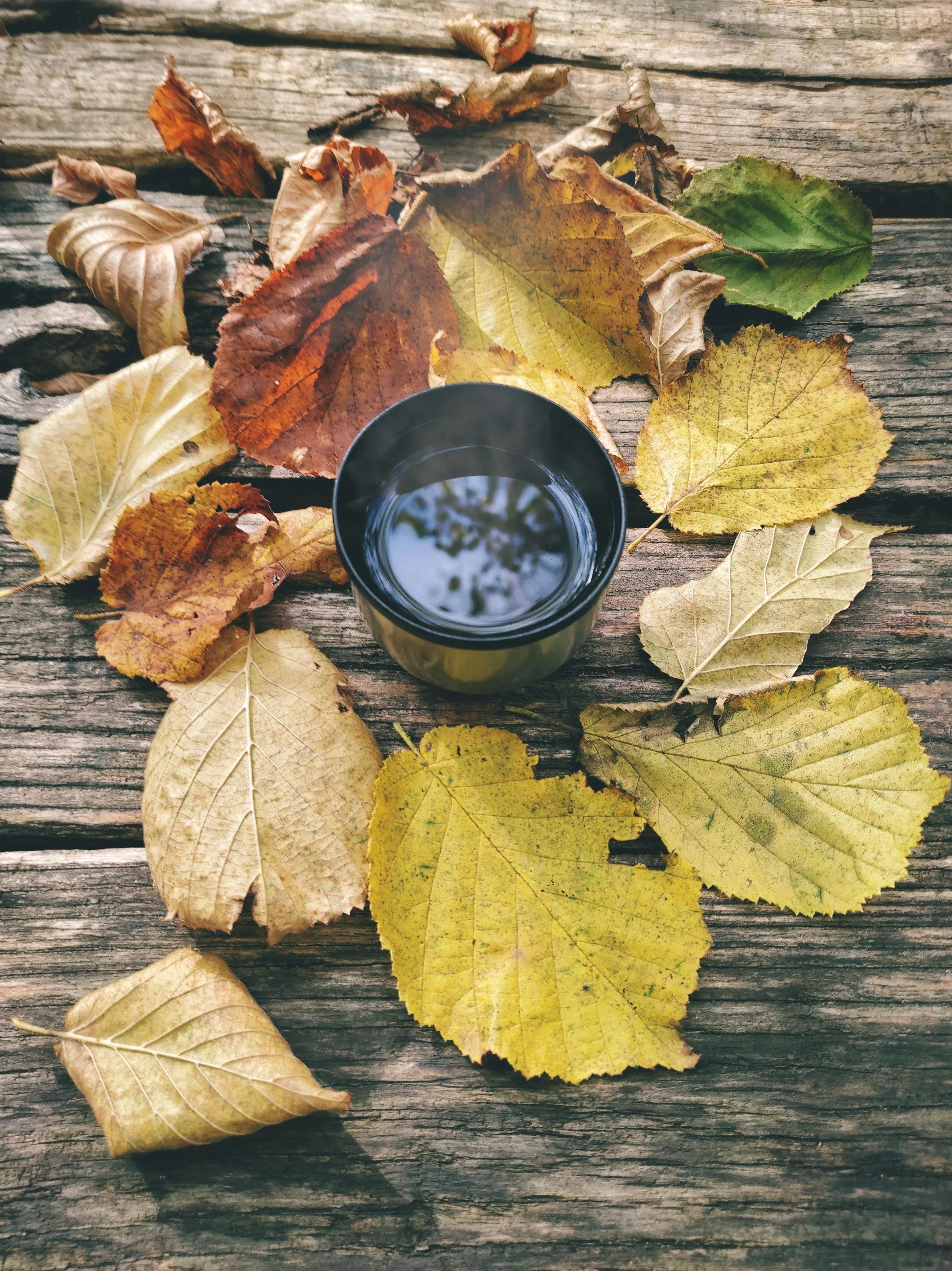 pexels-shantararam-10103781.jpg