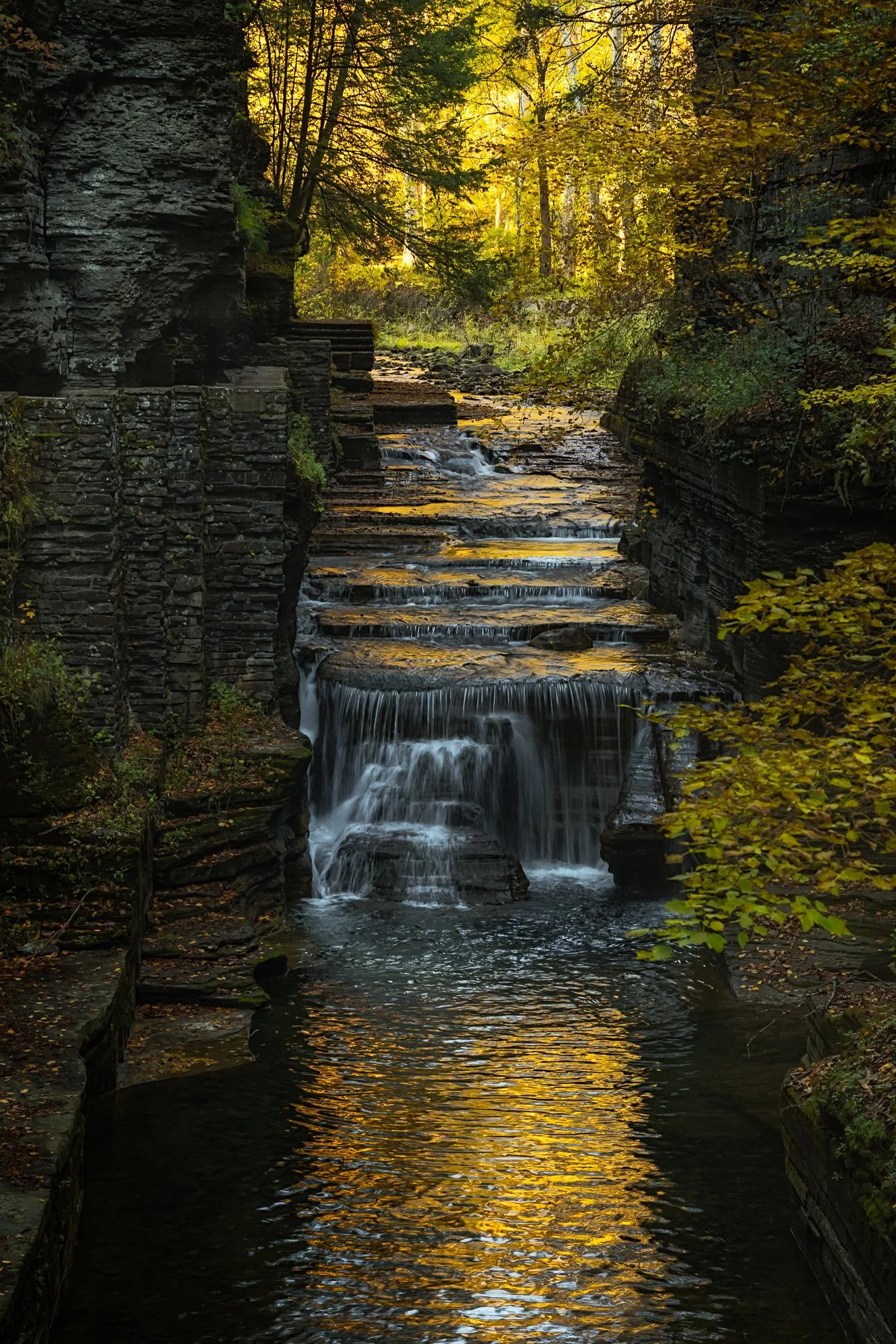 Buttermilk Falls State Park, Ithaca, NY