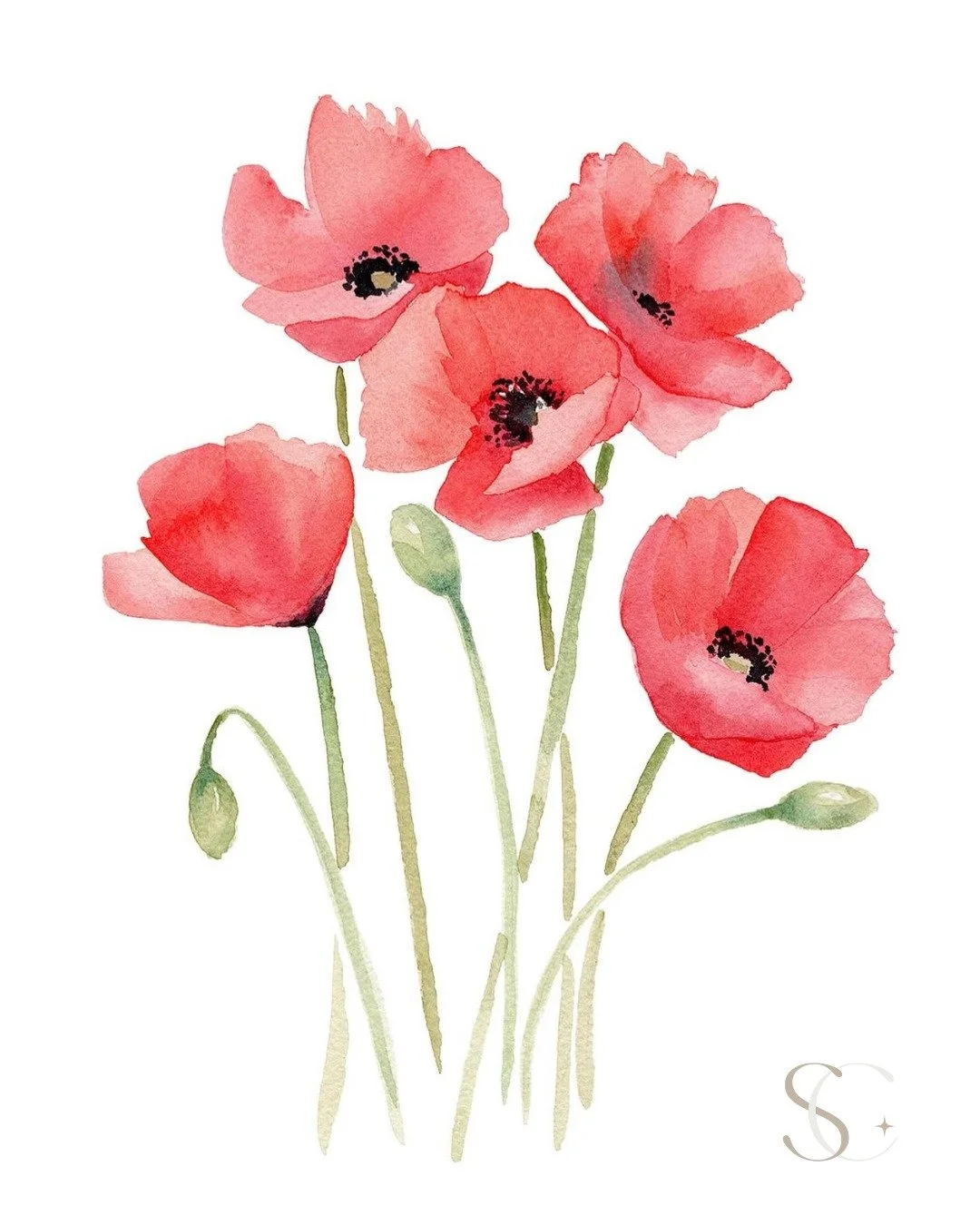Anzac Day 

Today we honour the men and women who served, and continue to serve our nation with courage and selflessness.
For those who never came home. 
For those who did, but didn't know how to be at home again. 

They shall grow not old, as we tha